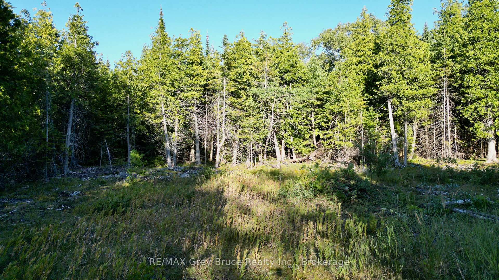 Photo 5 of 8 Devils Glen, Northern Bruce Peninsula — HOMEH
