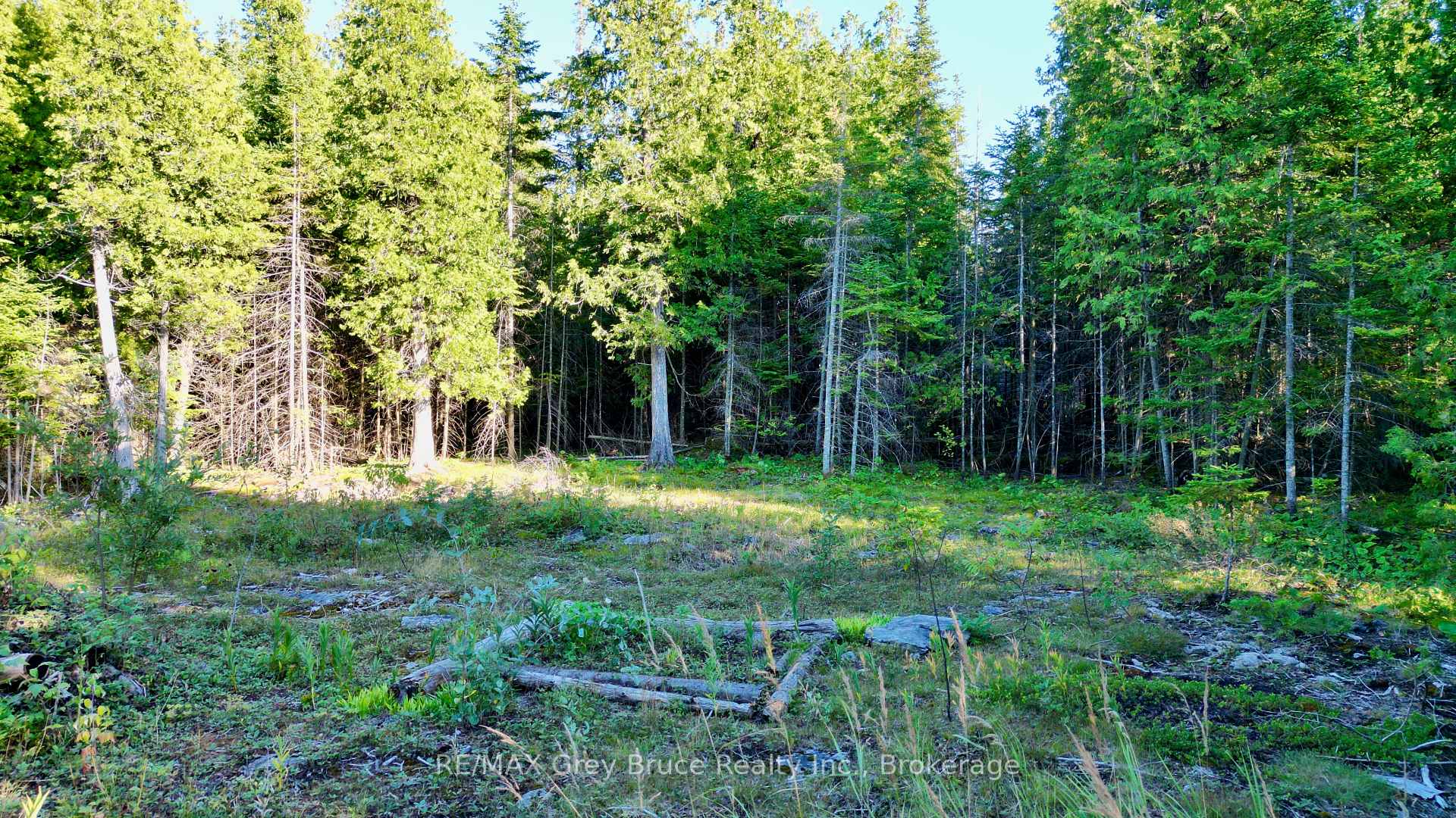 Photo 6 of 8 Devils Glen, Northern Bruce Peninsula — HOMEH