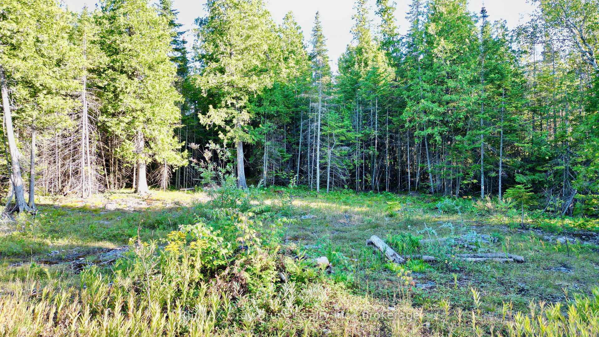 Photo 7 of 8 Devils Glen, Northern Bruce Peninsula — HOMEH