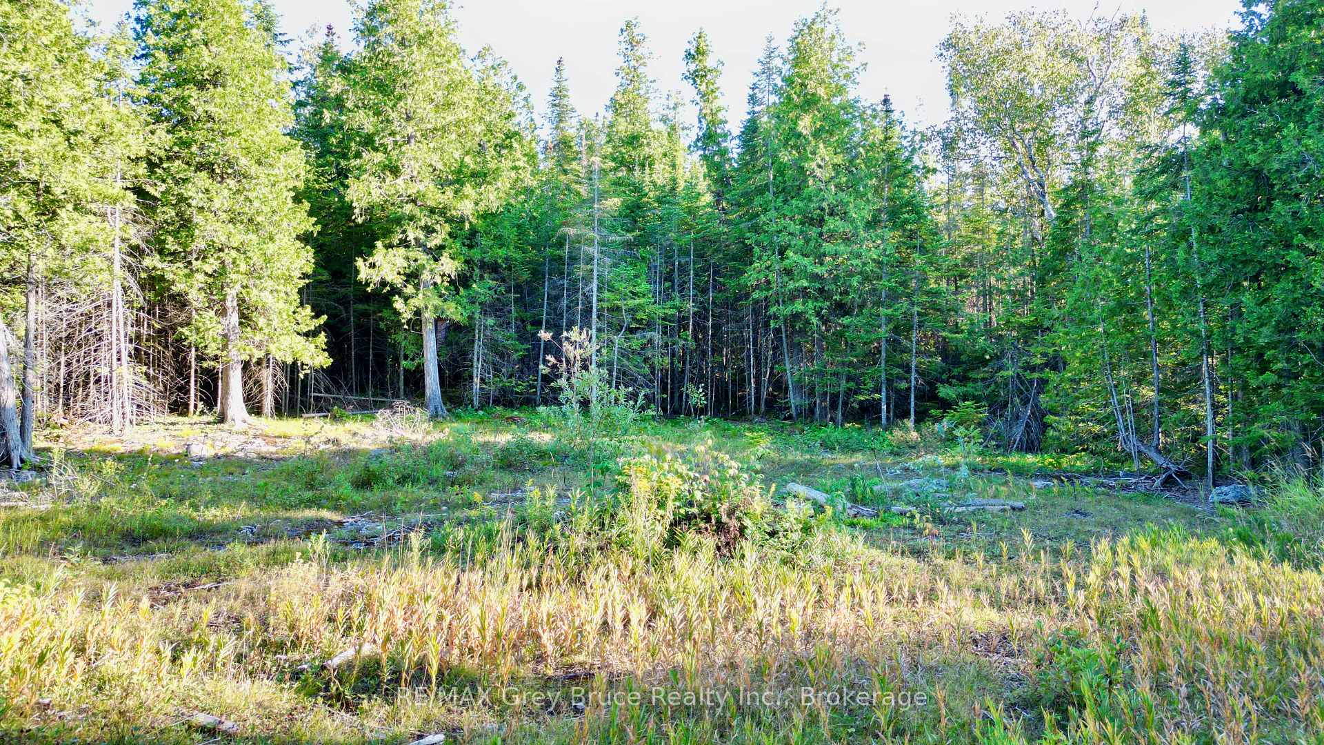 Photo 8 of 8 Devils Glen, Northern Bruce Peninsula — HOMEH