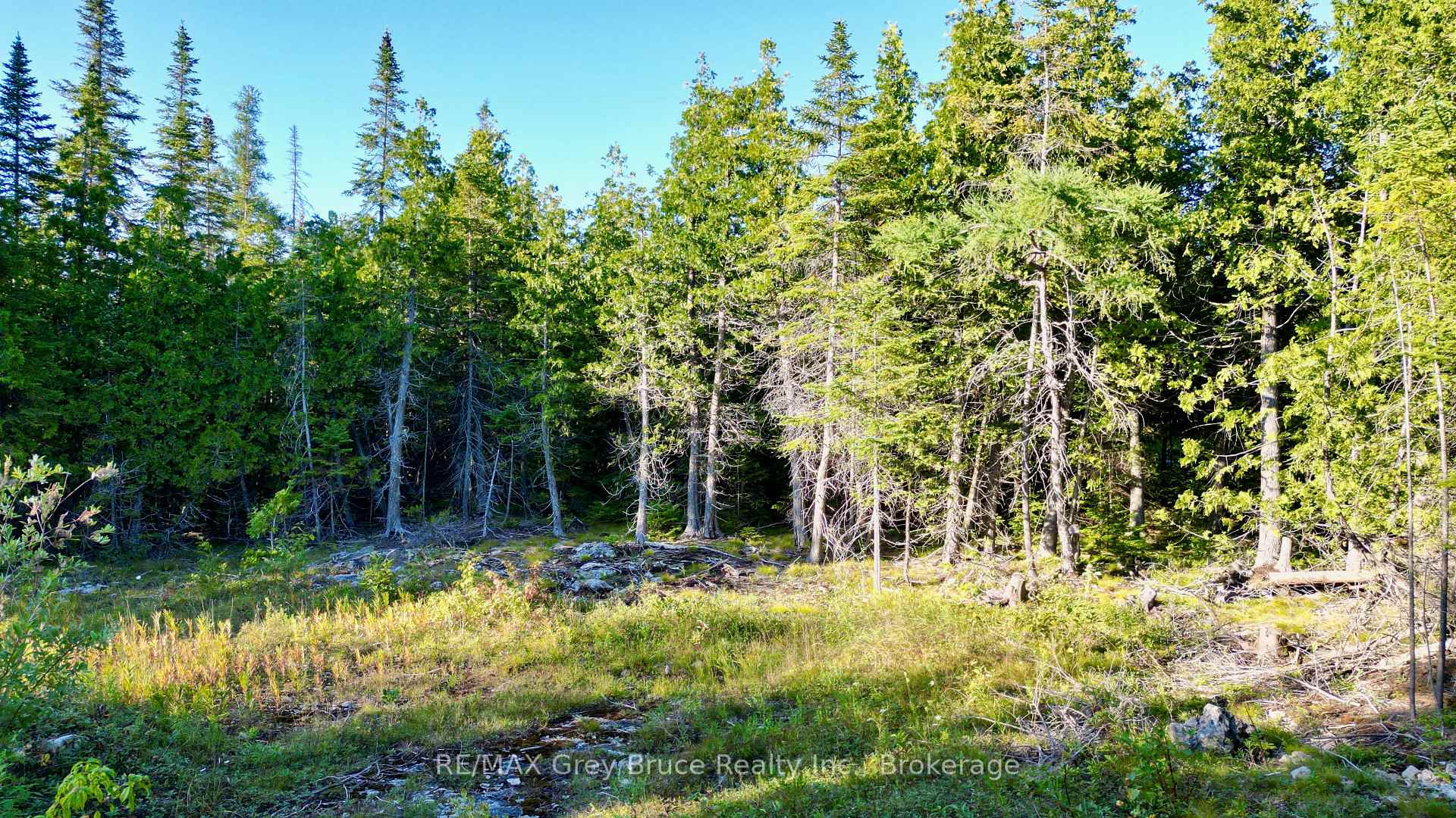 Photo 9 of 8 Devils Glen, Northern Bruce Peninsula — HOMEH