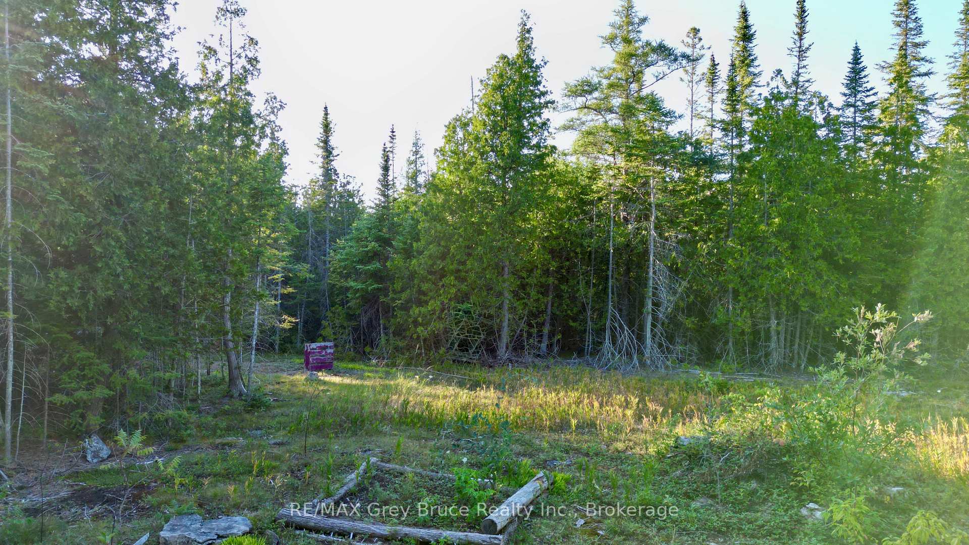 Photo 10 of 8 Devils Glen, Northern Bruce Peninsula — HOMEH