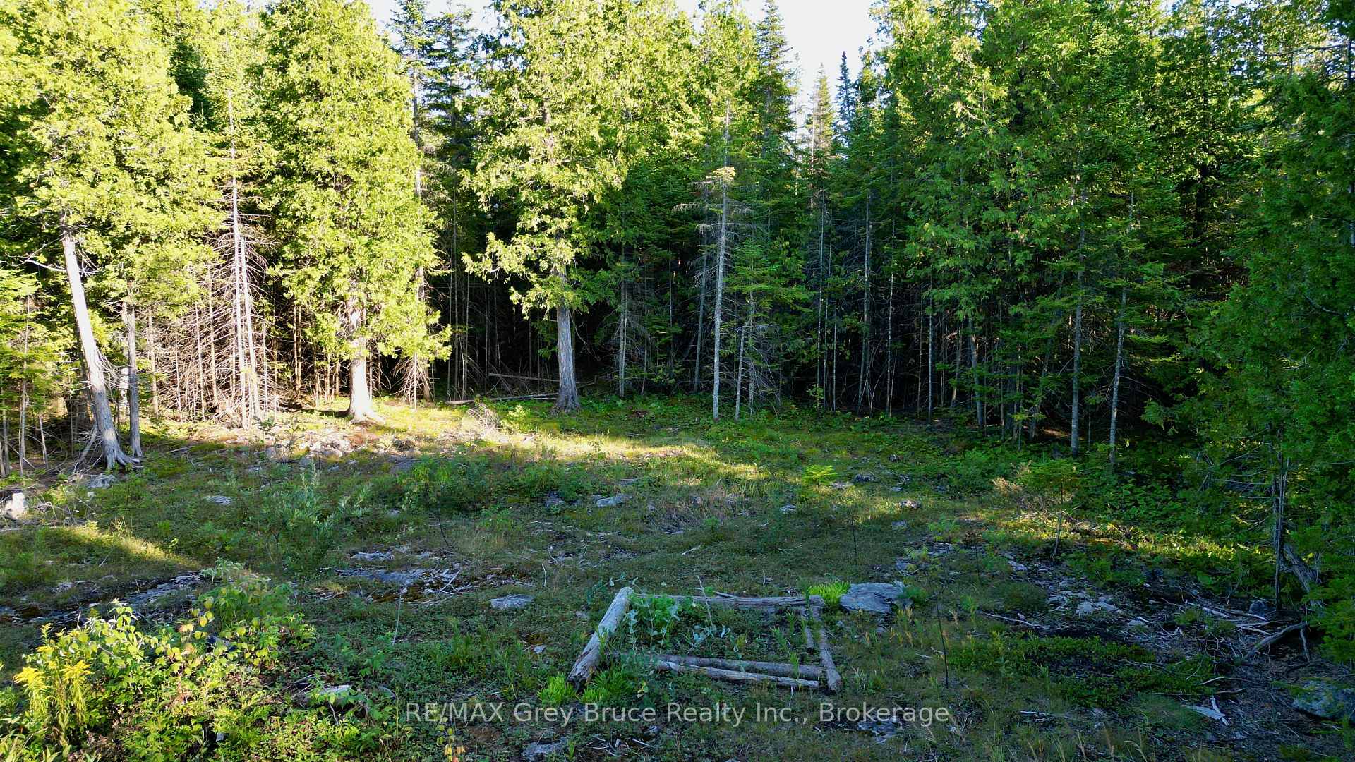 Photo 23 of 8 Devils Glen, Northern Bruce Peninsula — HOMEH