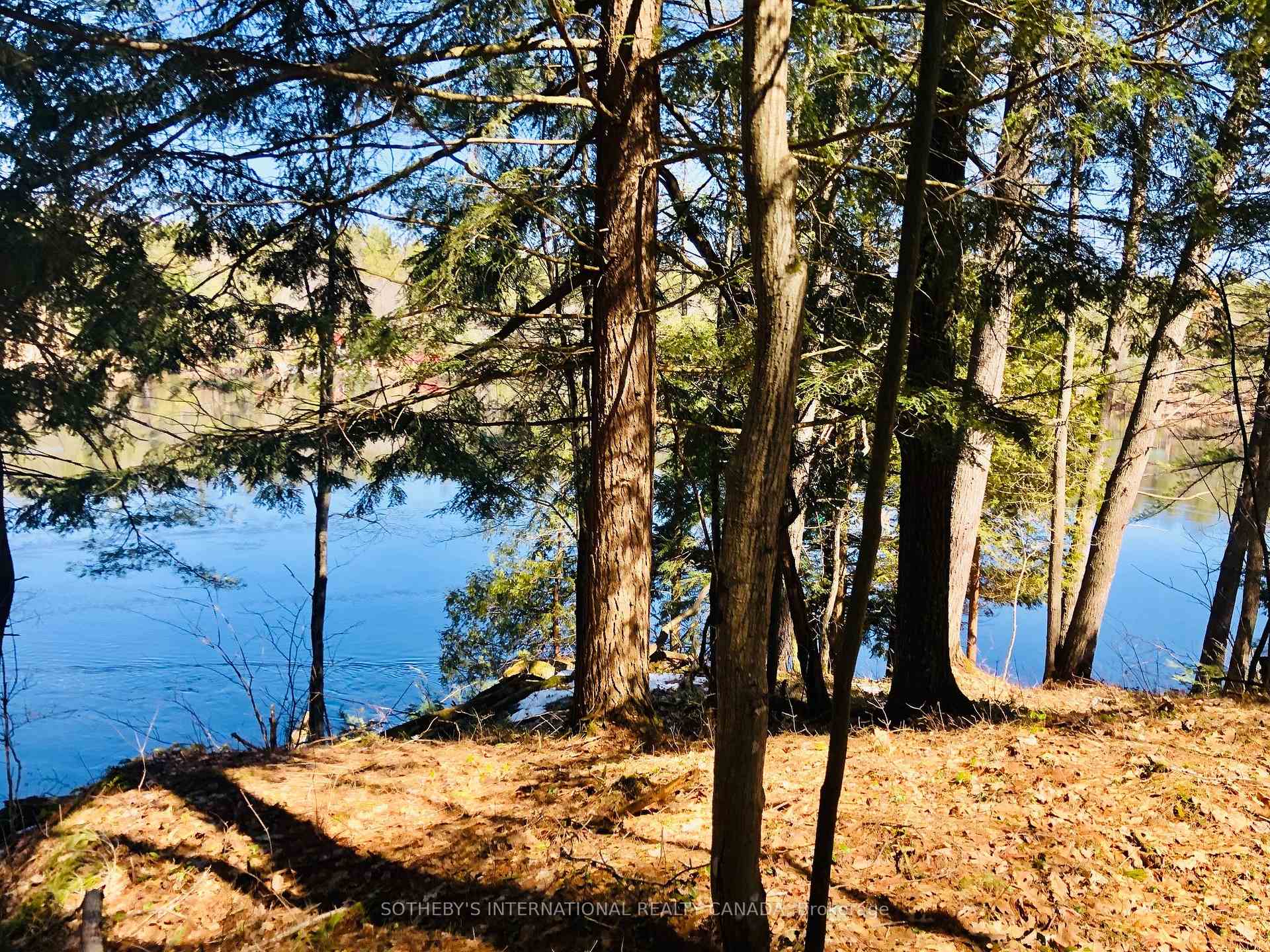 Photo of 3197 Severn River Road