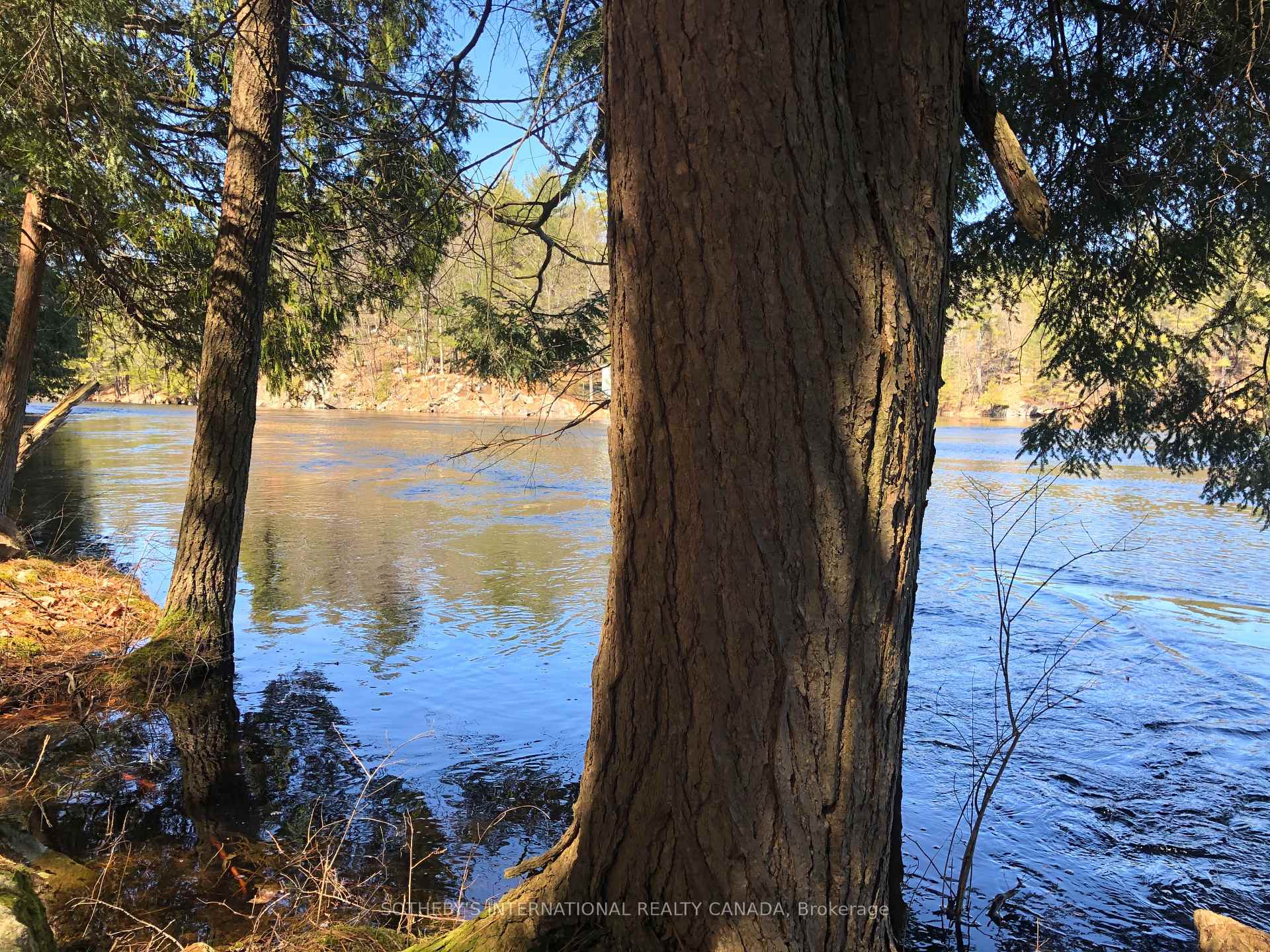 Photo 3 of 3197 Severn River Road, Severn, Rural Severn — HOMEH