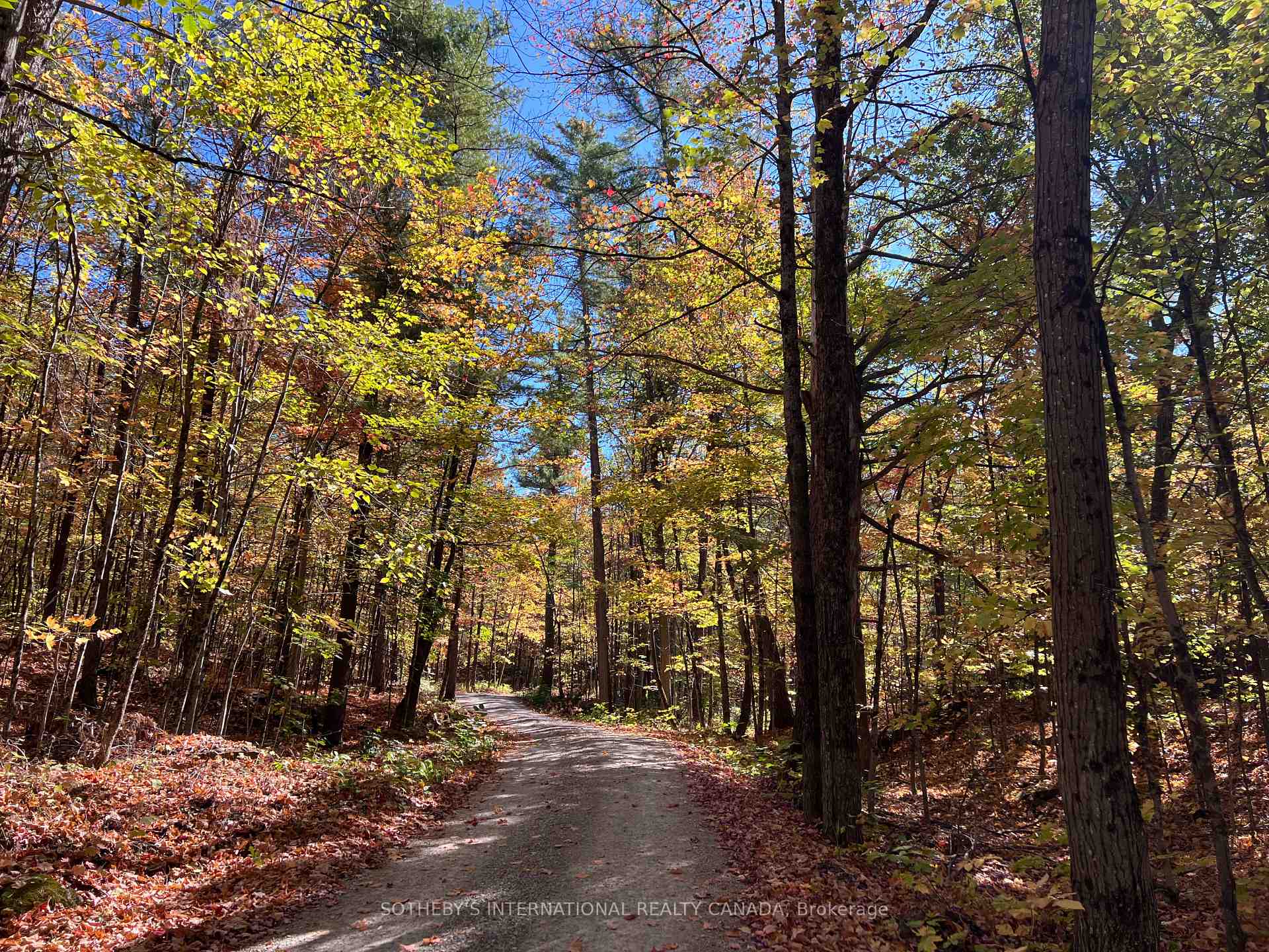 Photo 9 of 3197 Severn River Road, Severn, Rural Severn — HOMEH