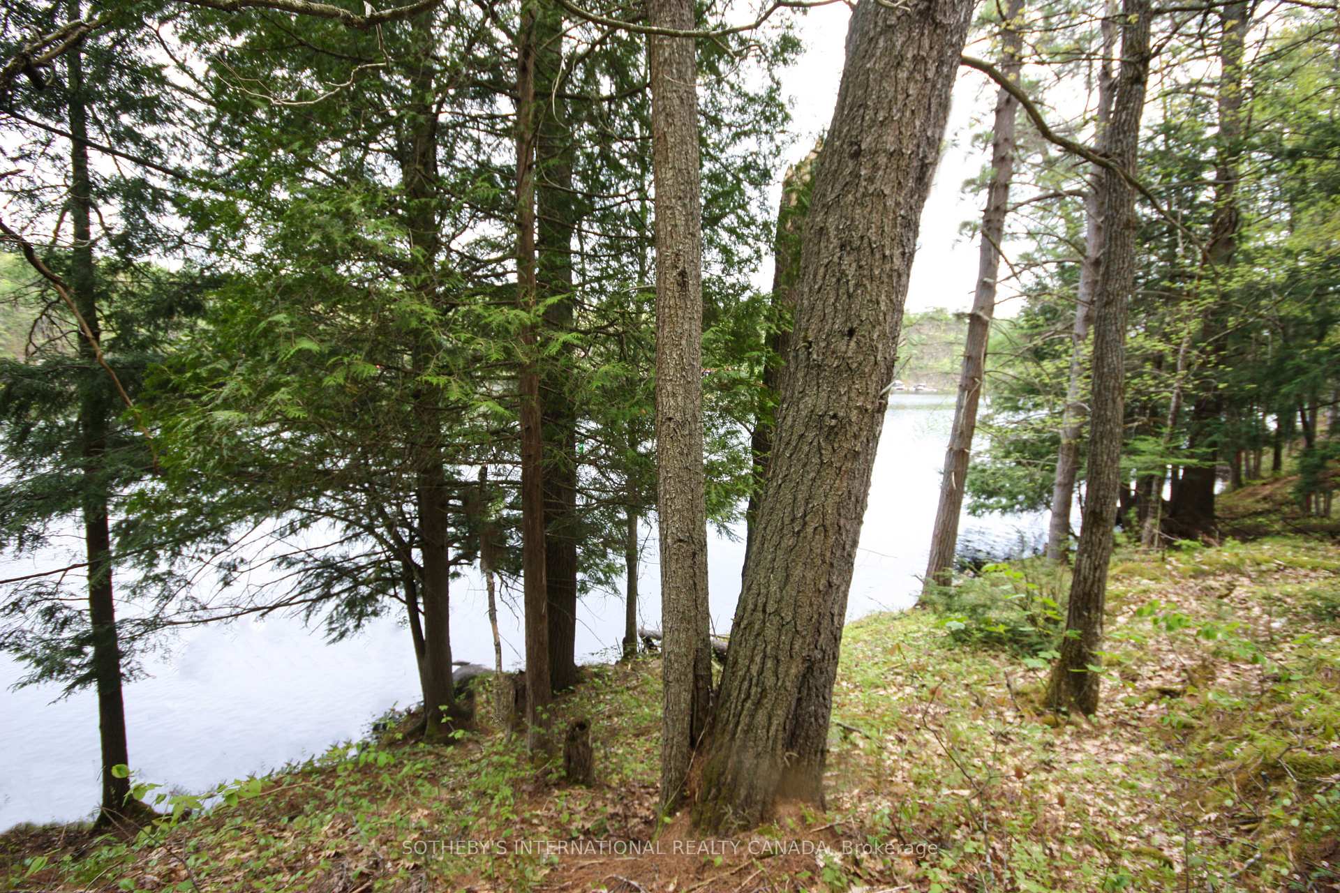 Photo 12 of 3197 Severn River Road, Severn, Rural Severn — HOMEH