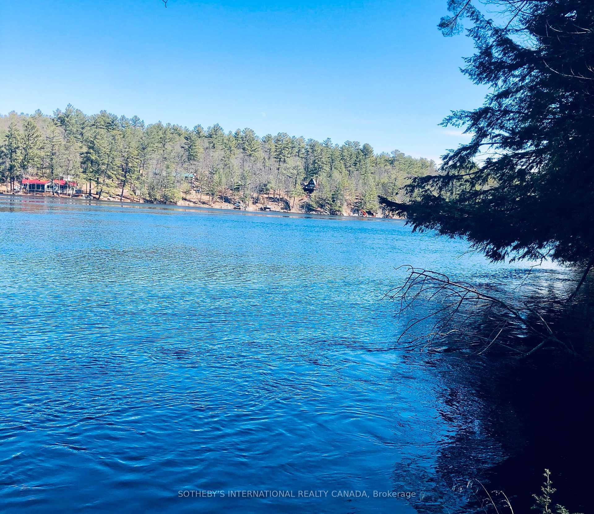 Photo 13 of 3197 Severn River Road, Severn, Rural Severn — HOMEH