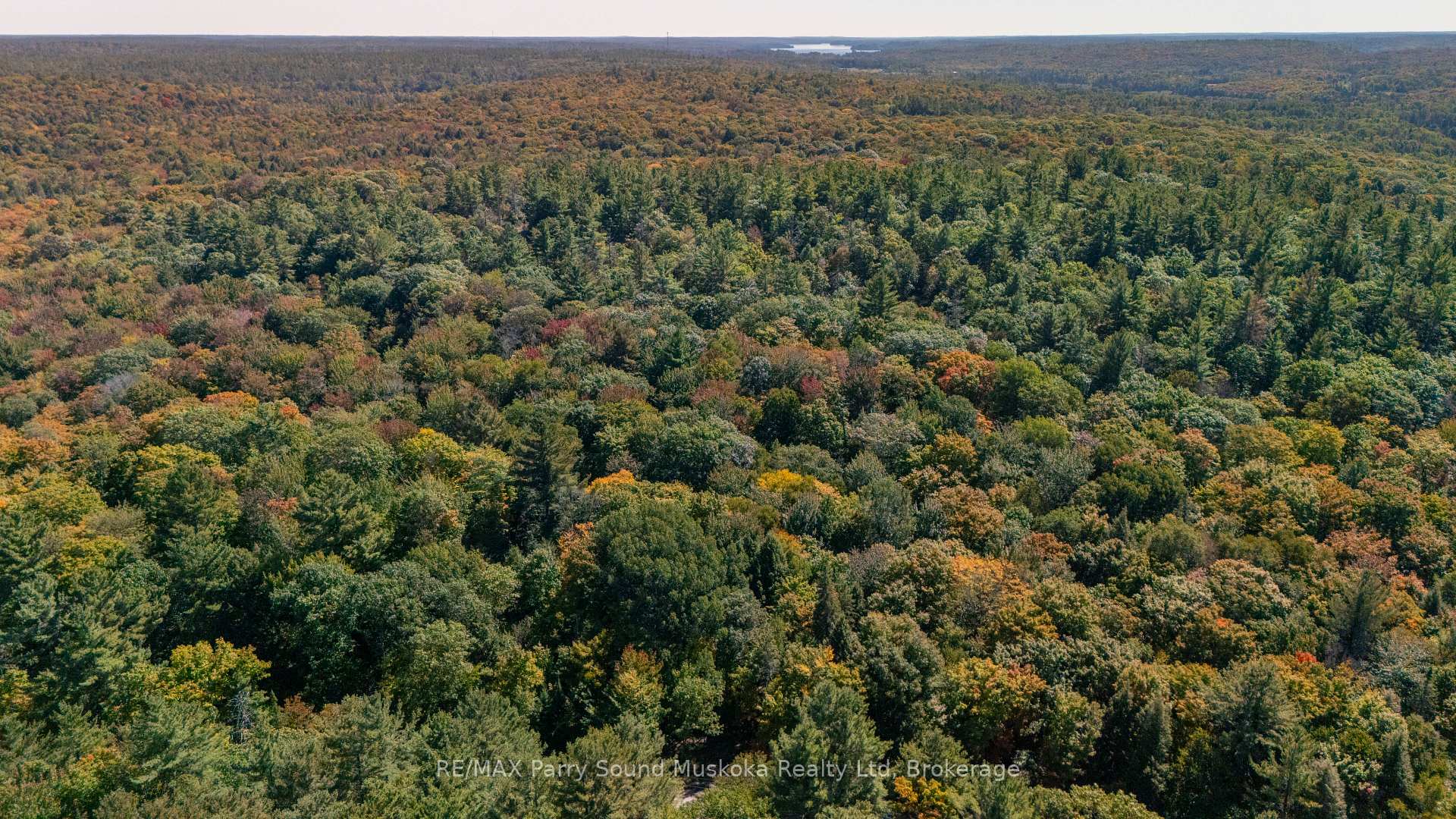 Photo 3 of 72 McCauley Road, Seguin — HOMEH