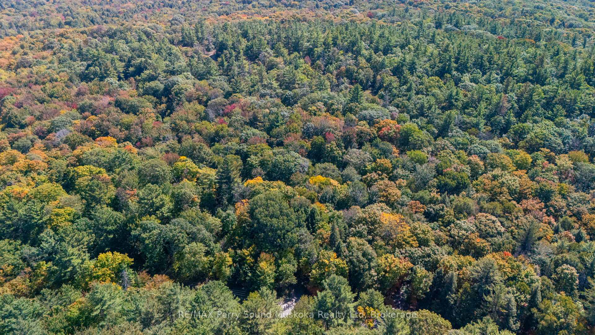 Photo 4 of 72 McCauley Road, Seguin — HOMEH