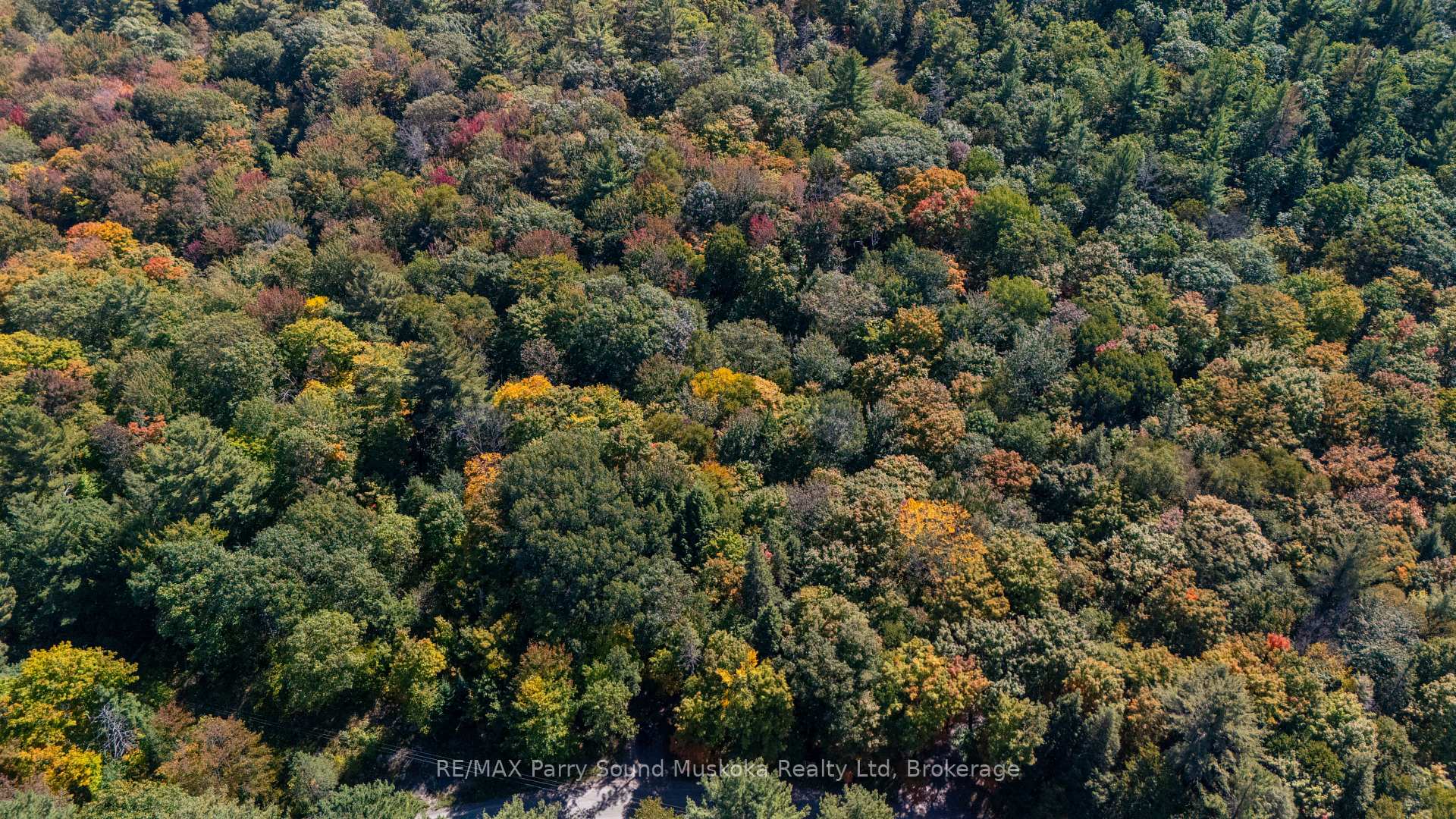 Photo 5 of 72 McCauley Road, Seguin — HOMEH
