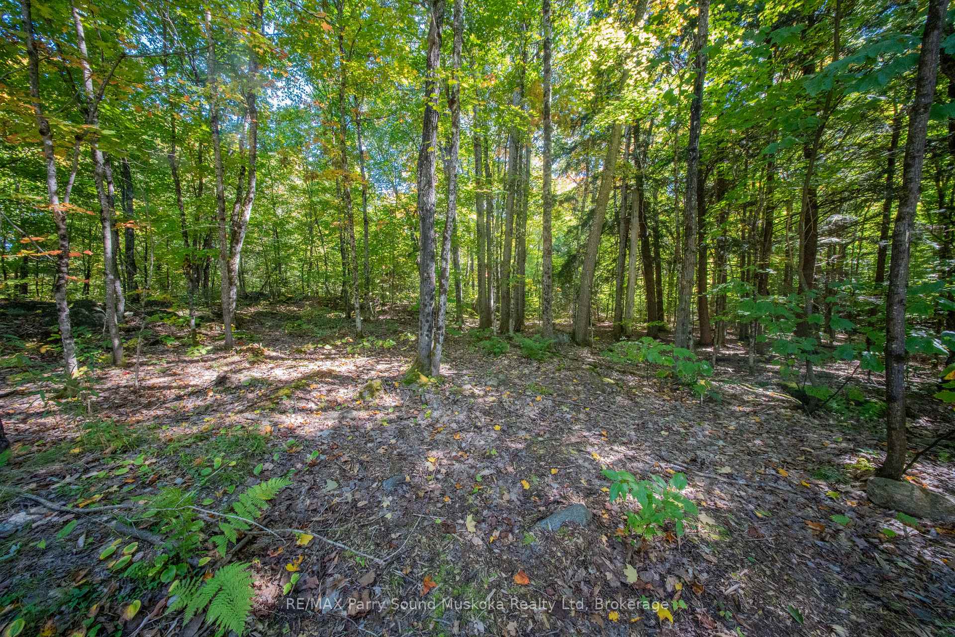 Photo 20 of 72 McCauley Road, Seguin — HOMEH