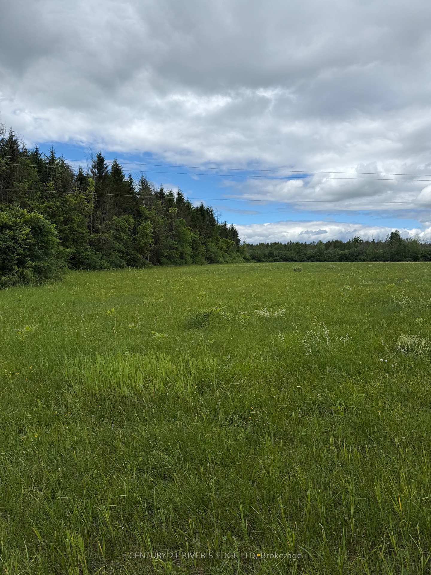 Photo 3 of 00 Branch Road, Augusta, Augusta Twp — HOMEH