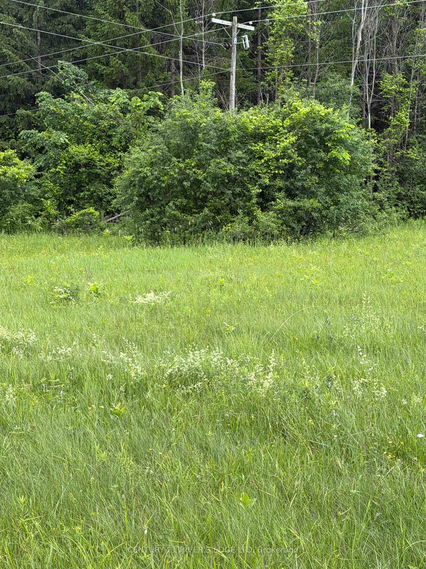 Photo 5 of 00 Branch Road, Augusta, Augusta Twp — HOMEH