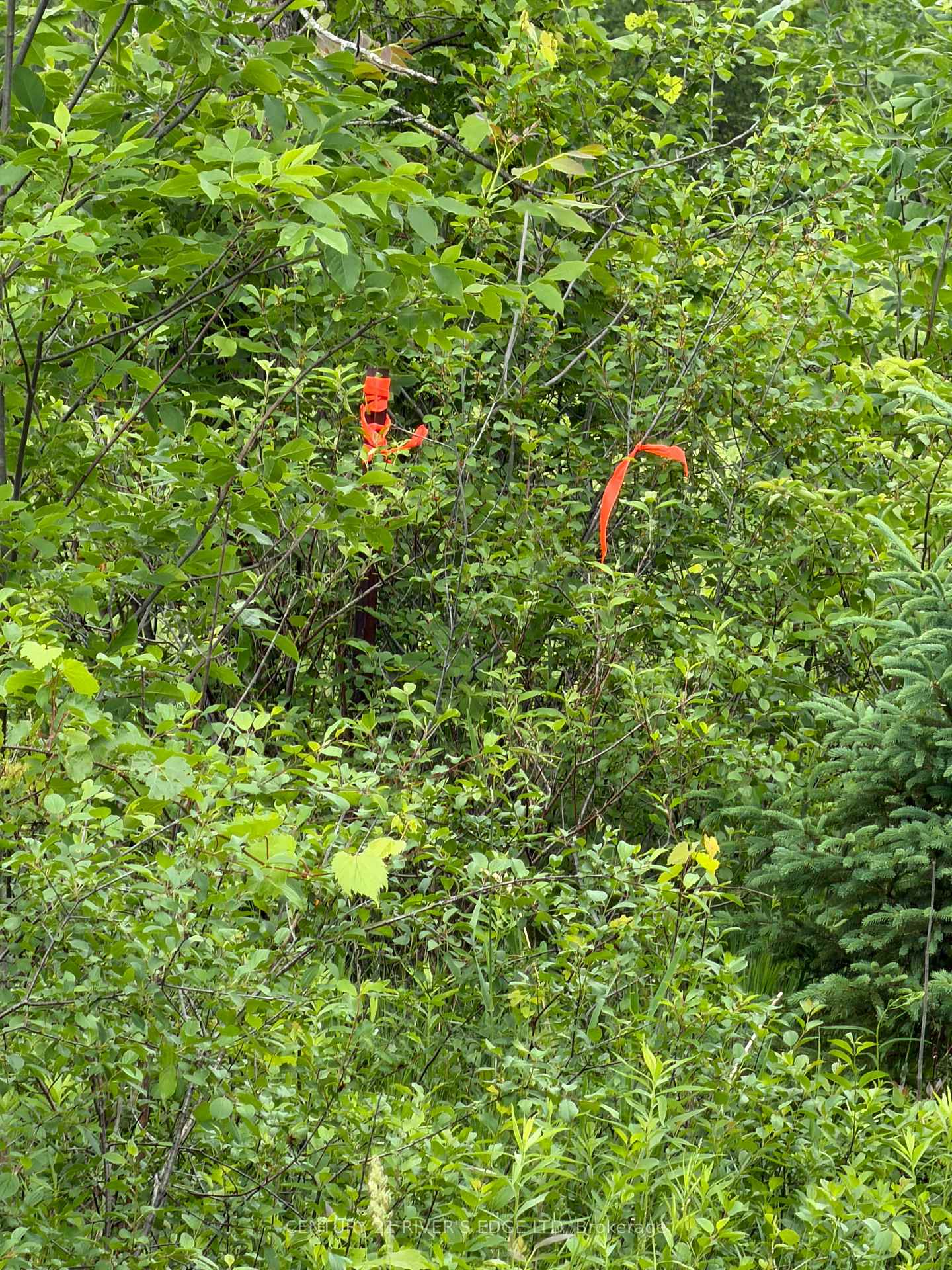 Photo 12 of 00 Branch Road, Augusta, Augusta Twp — HOMEH