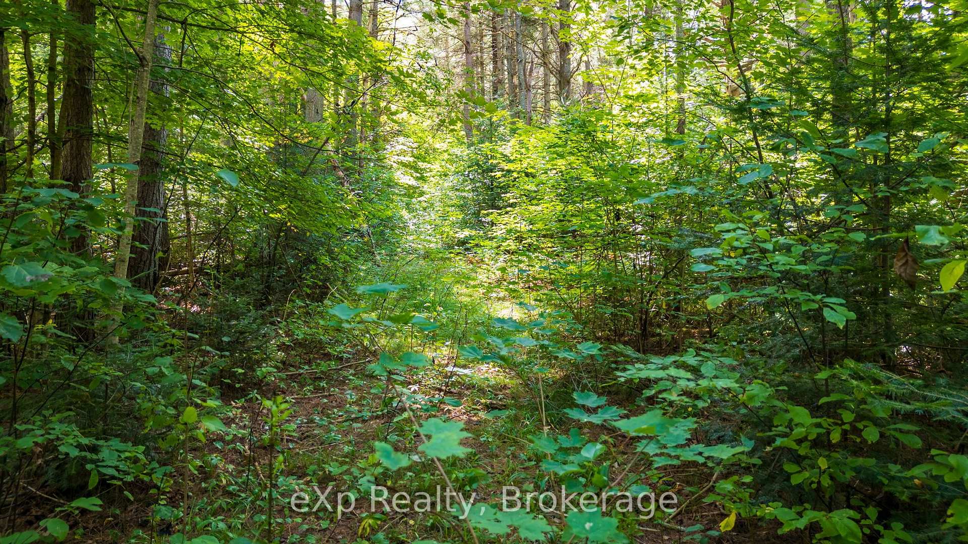 Photo 29 of 7 McMullen Drive, Perry — HOMEH