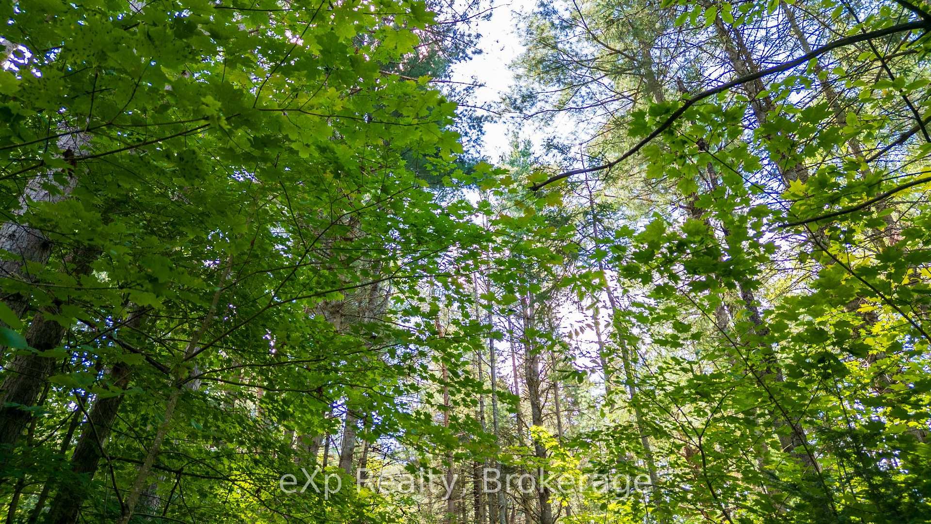Photo 30 of 7 McMullen Drive, Perry — HOMEH