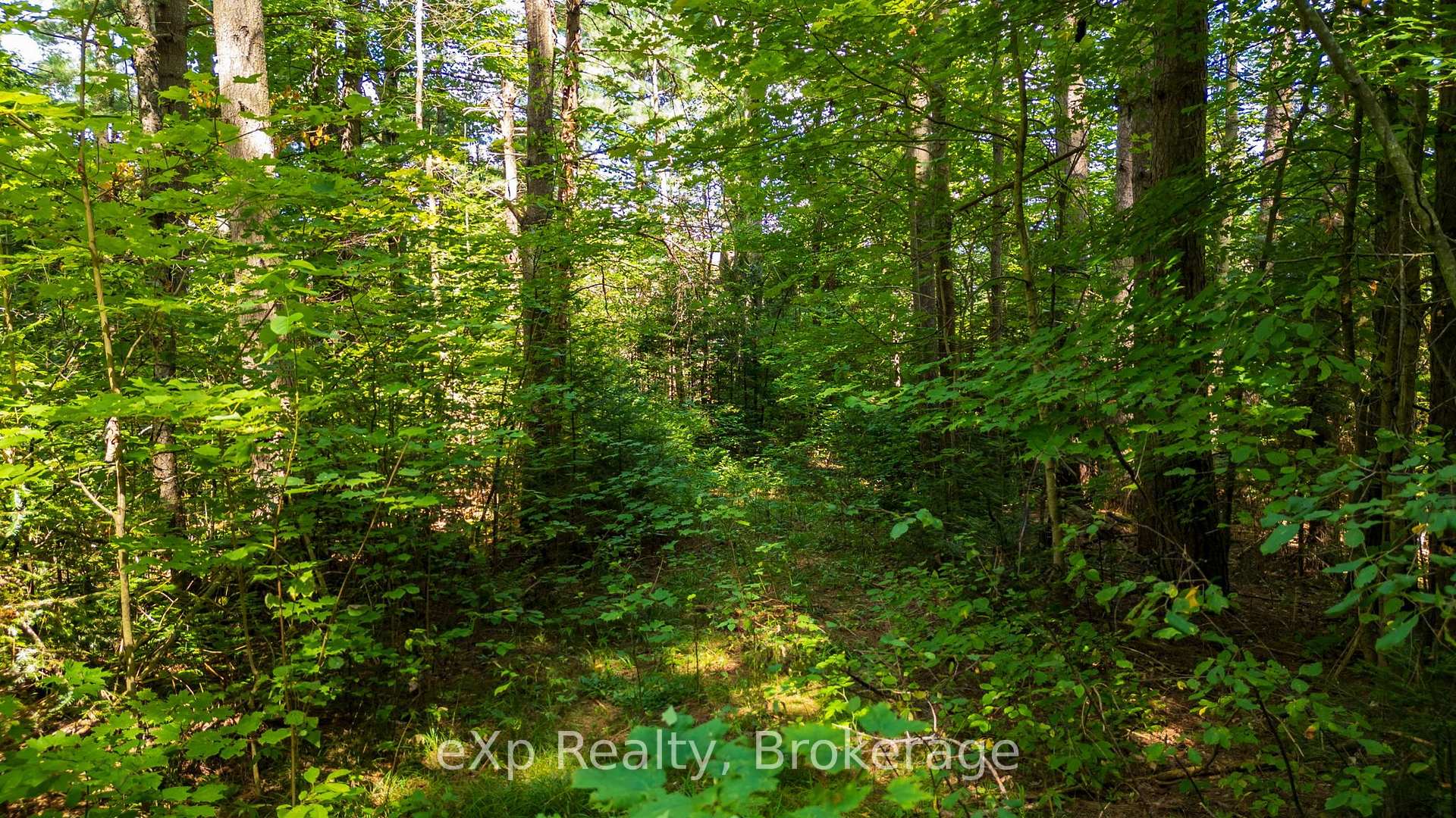 Photo 31 of 7 McMullen Drive, Perry — HOMEH