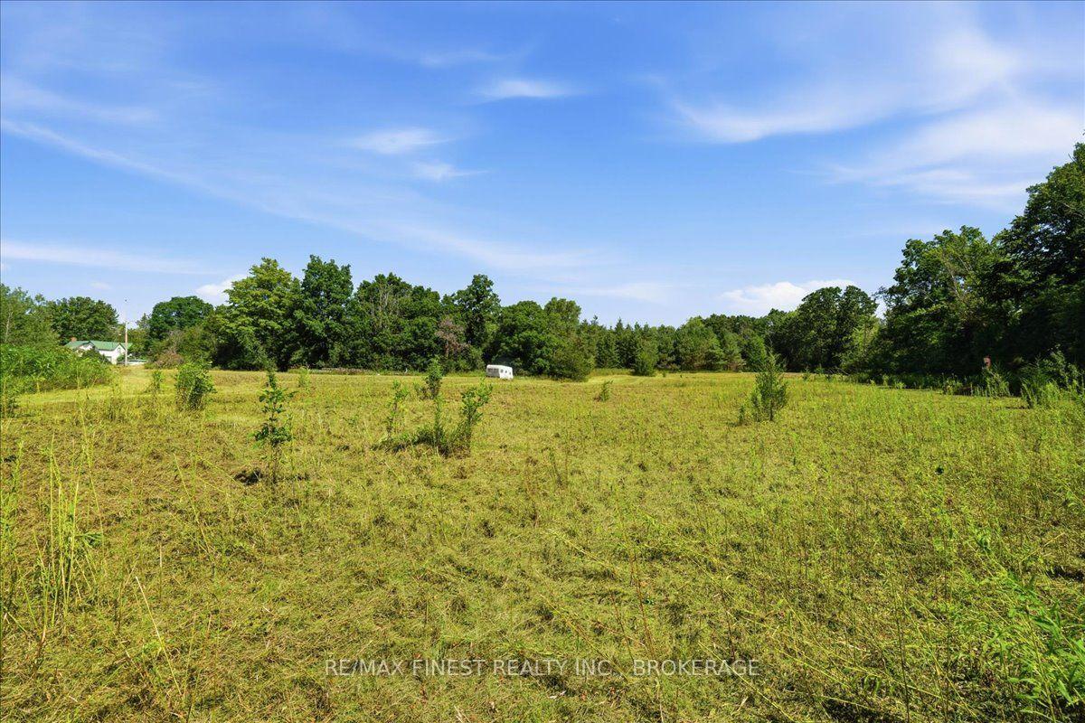 Photo 15 of Mudcat Road, Belleville, Thurlow Ward — HOMEH