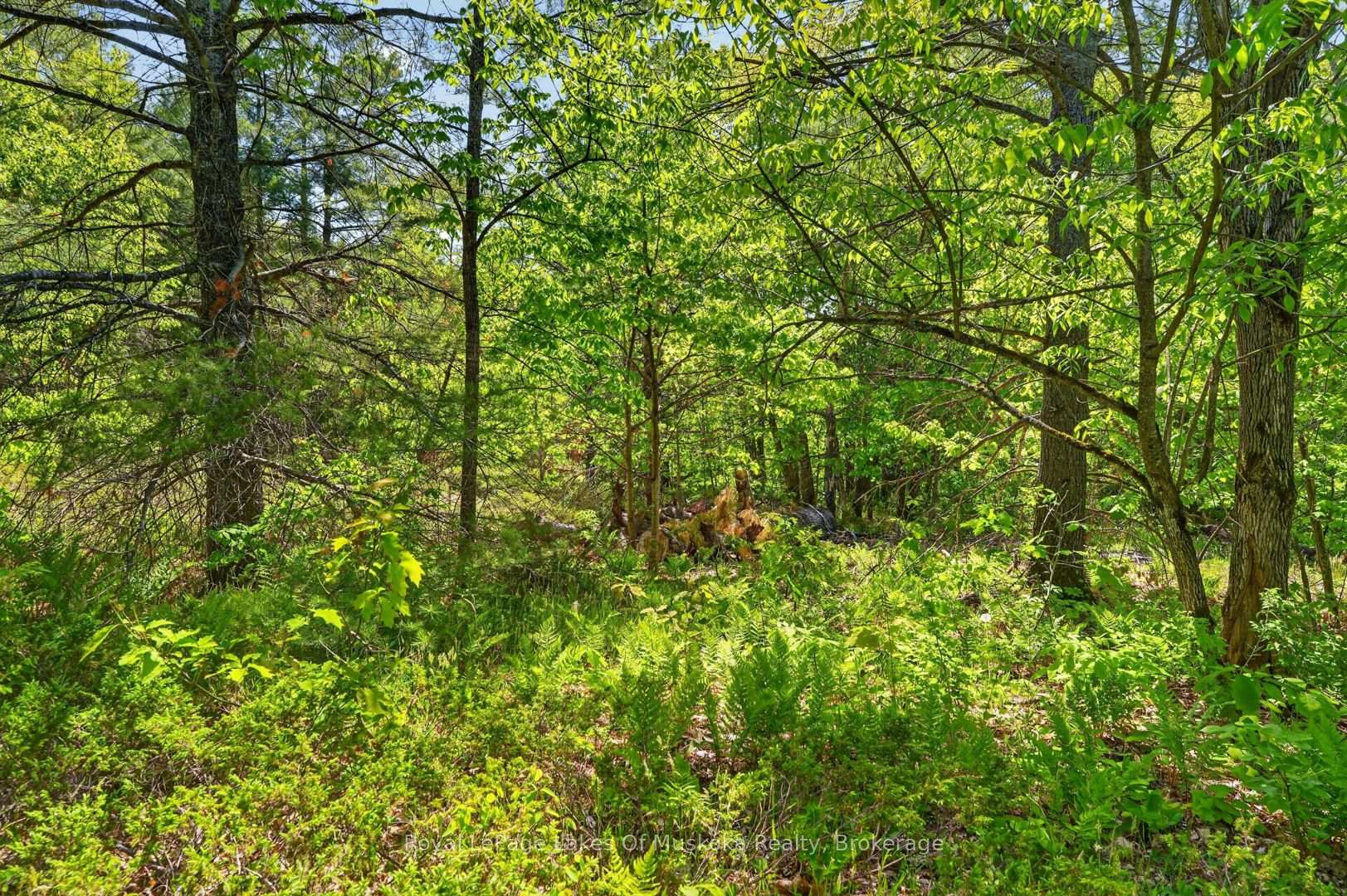 Photo 36 of 1018 Sniders Bay Road, Gravenhurst, Muskoka (S) — HOMEH