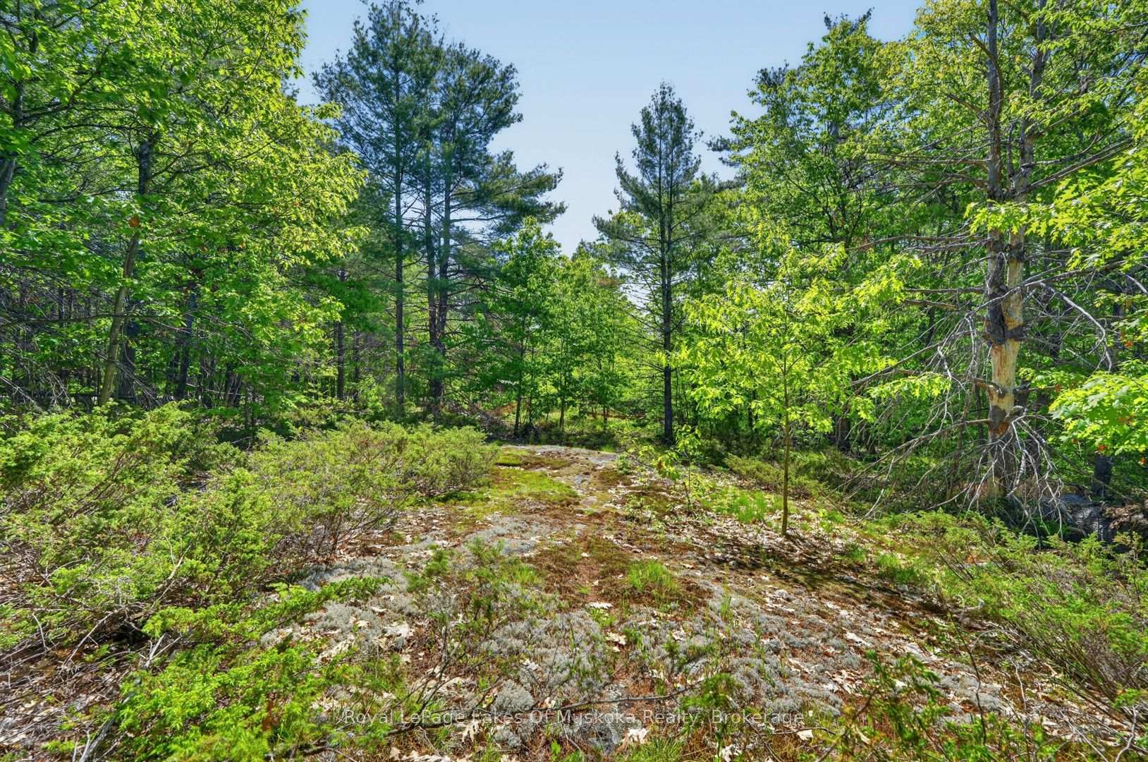 Photo 37 of 1018 Sniders Bay Road, Gravenhurst, Muskoka (S) — HOMEH