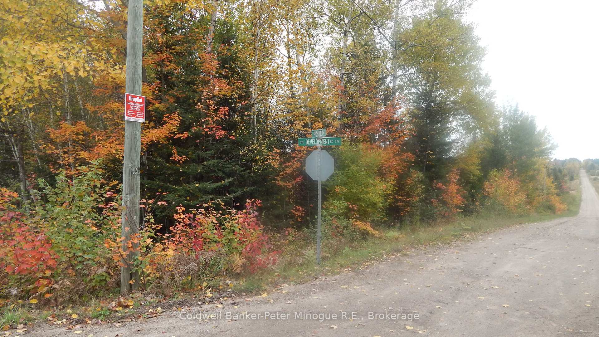 Photo 4 of Lot 25 Development Road, Bonfield — HOMEH