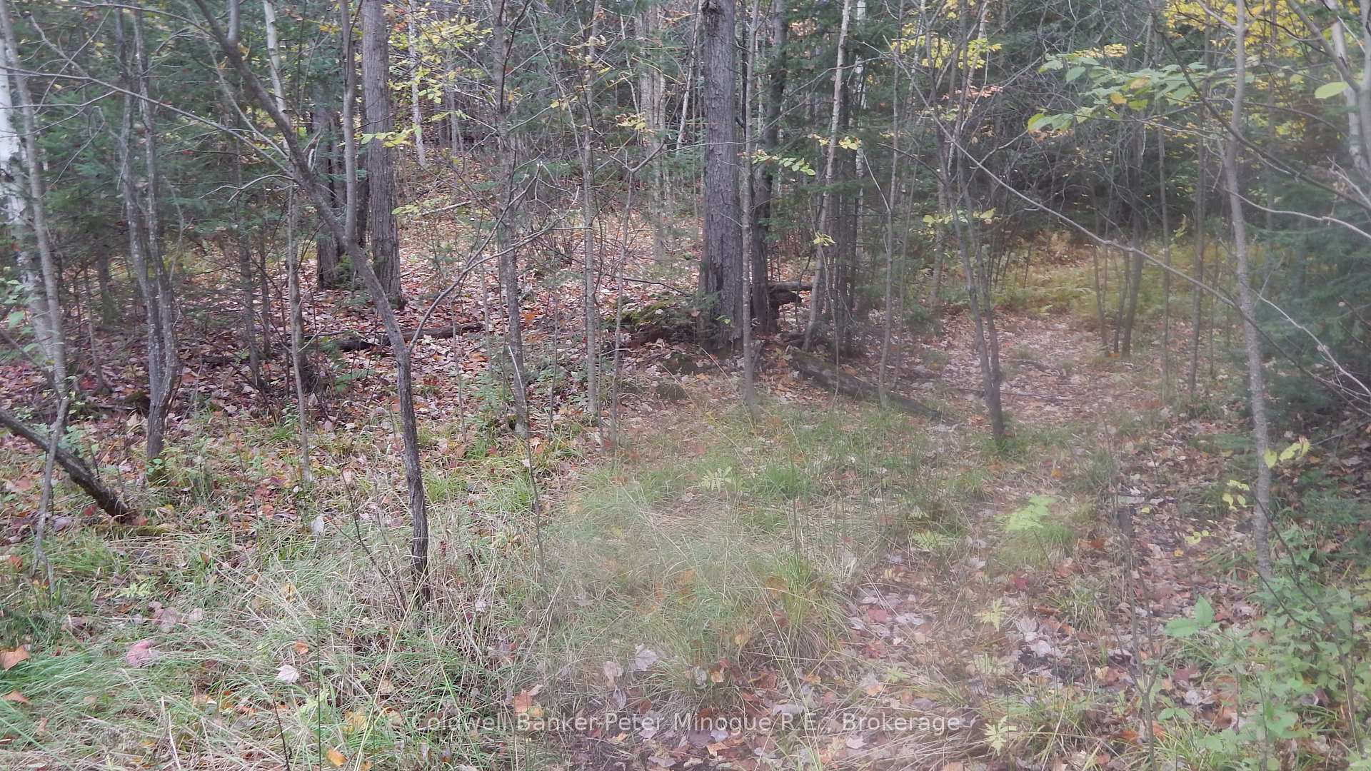Photo 10 of Lot 25 Development Road, Bonfield — HOMEH