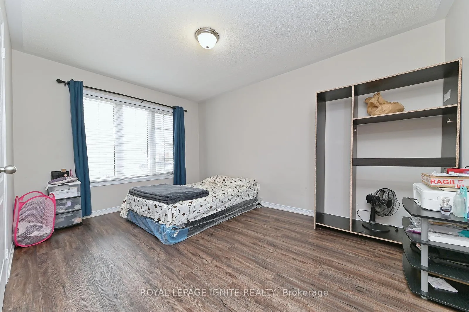 Photo 25 of 22 Thornapple Street, Brampton, Sandringham-Wellington North — HOMEH