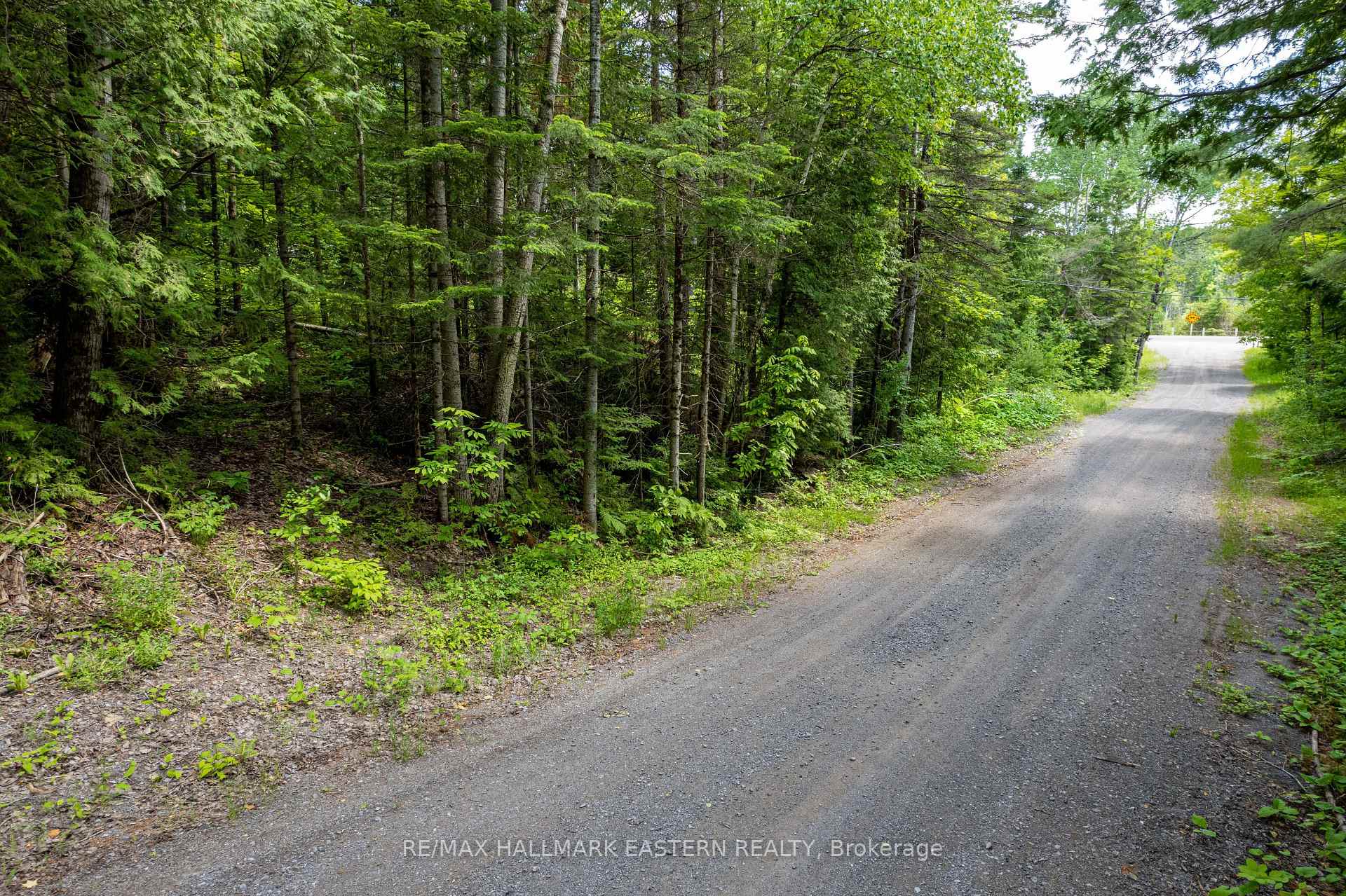 Photo 5 of 00 Johnson Road, North Kawartha — HOMEH