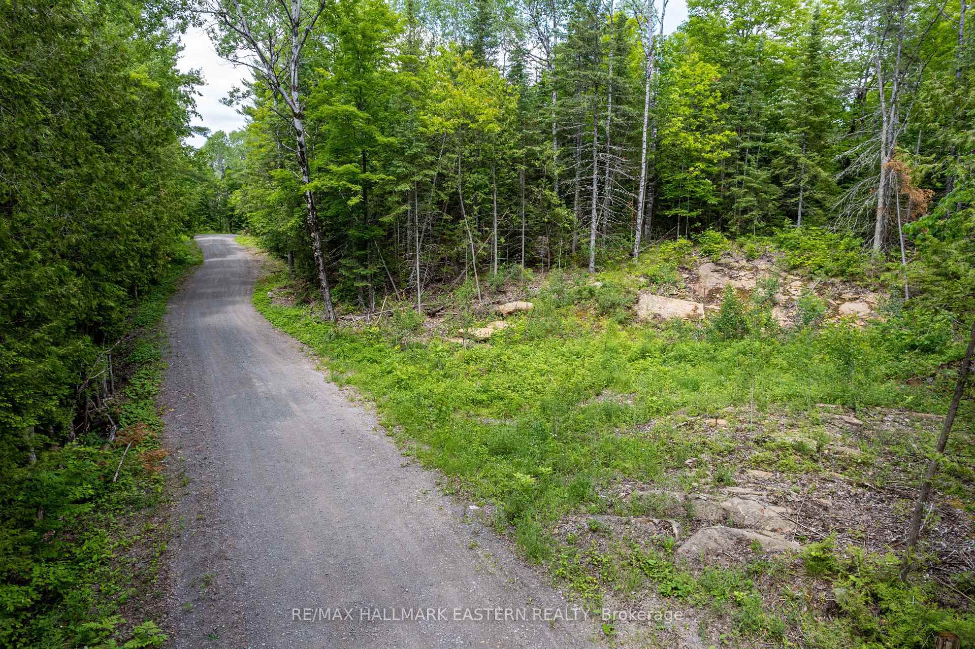 Photo 6 of 00 Johnson Road, North Kawartha — HOMEH