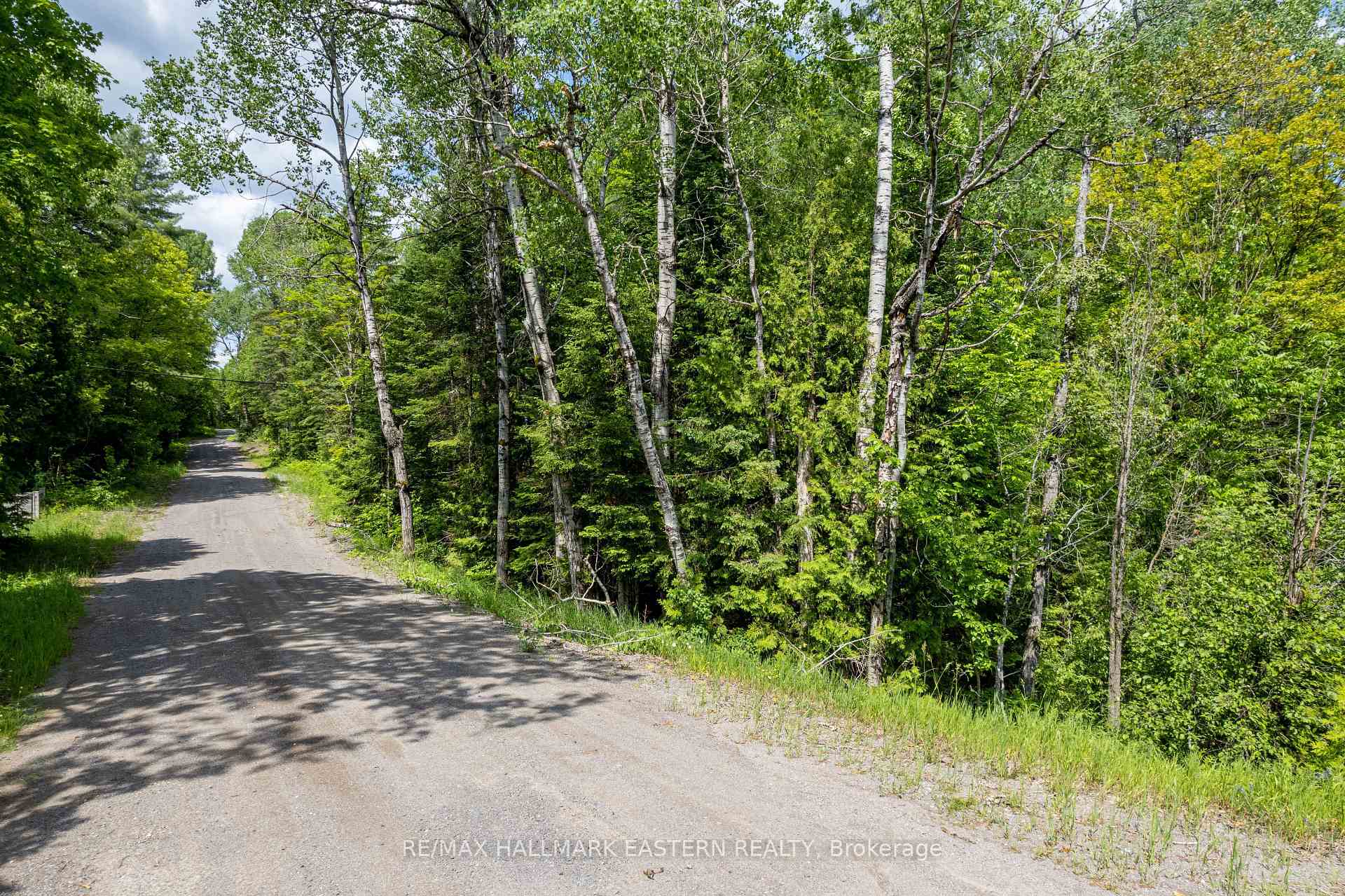 Photo 7 of 00 Johnson Road, North Kawartha — HOMEH