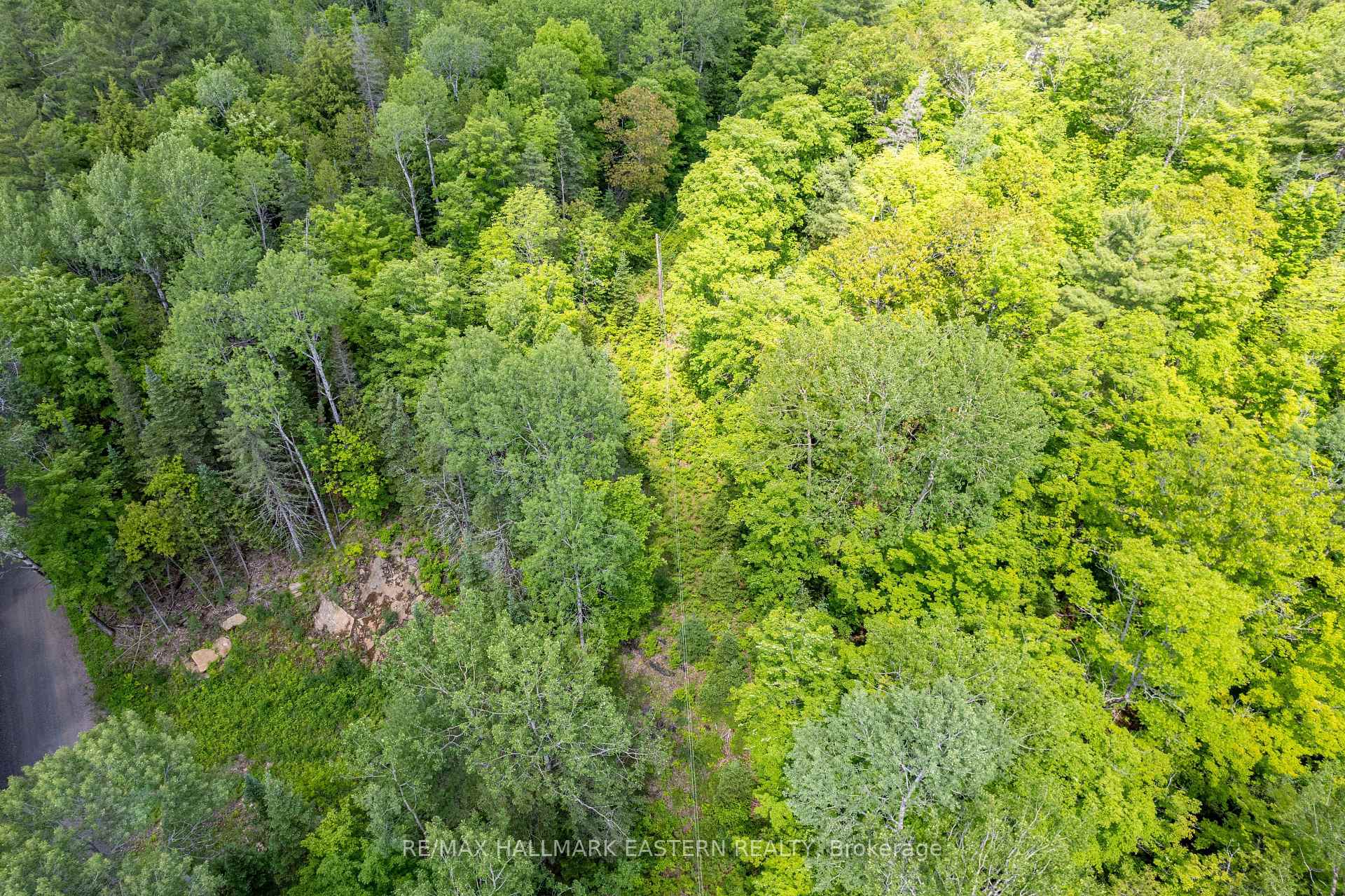 Photo 9 of 00 Johnson Road, North Kawartha — HOMEH