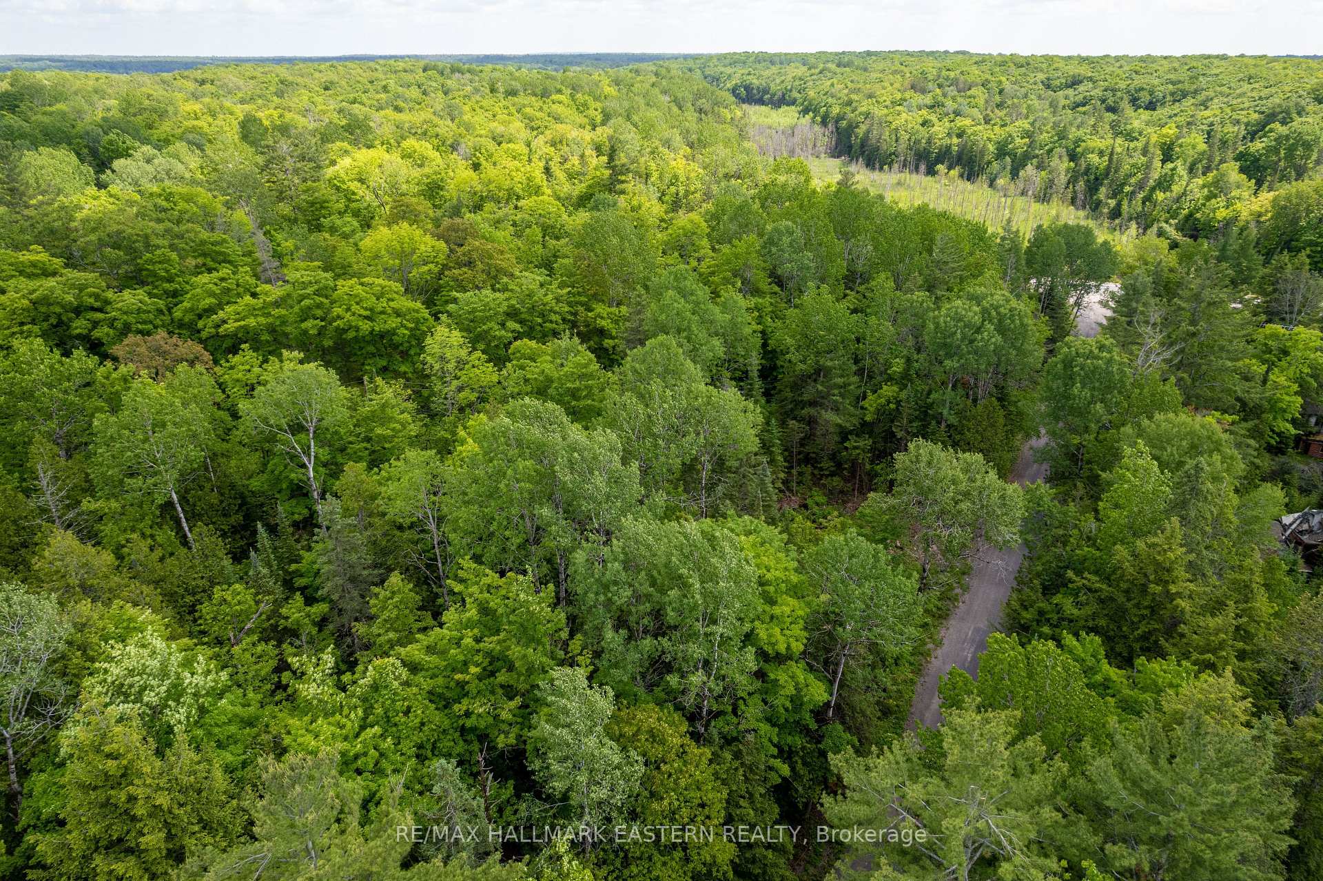 Photo 10 of 00 Johnson Road, North Kawartha — HOMEH