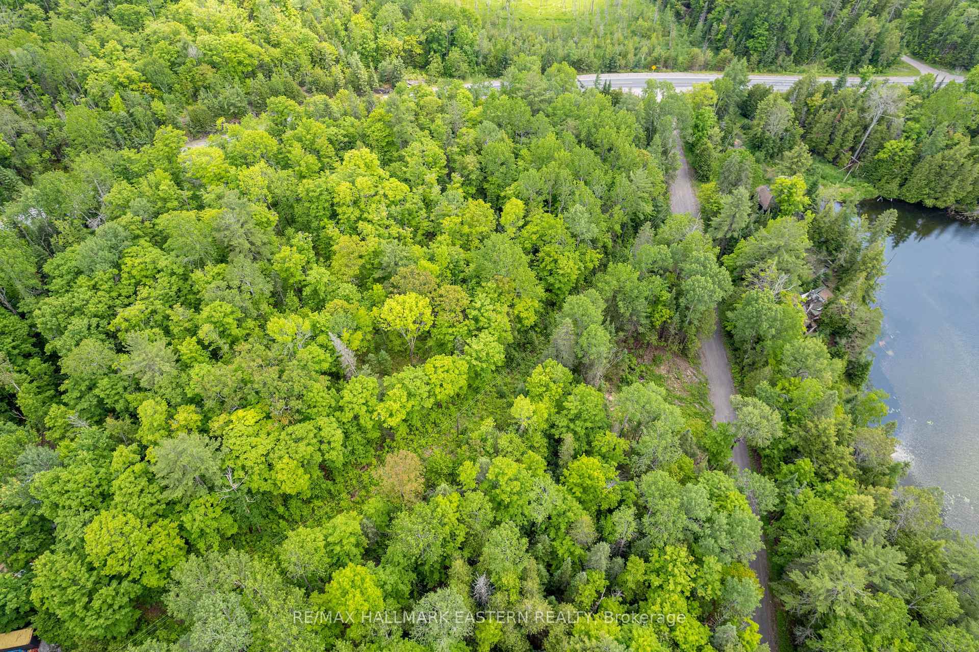 Photo 11 of 00 Johnson Road, North Kawartha — HOMEH