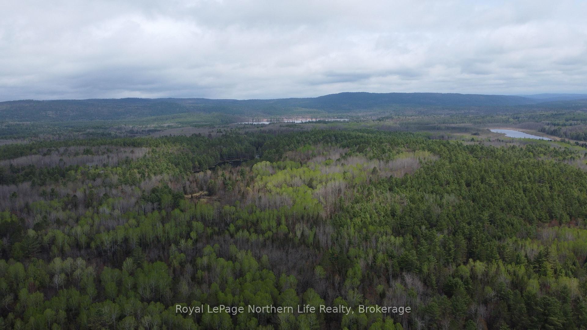 Photo of LOT 16 Part 2, Suzannes Road