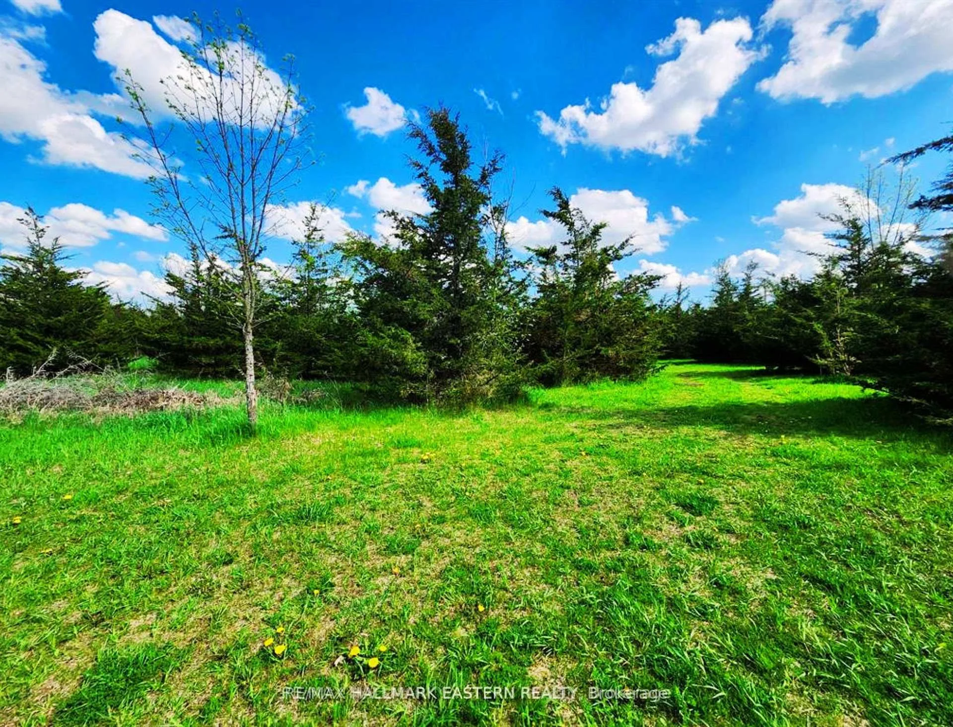 Photo 16 of 2098 13th Line E, Trent Hills, Rural Trent Hills — HOMEH