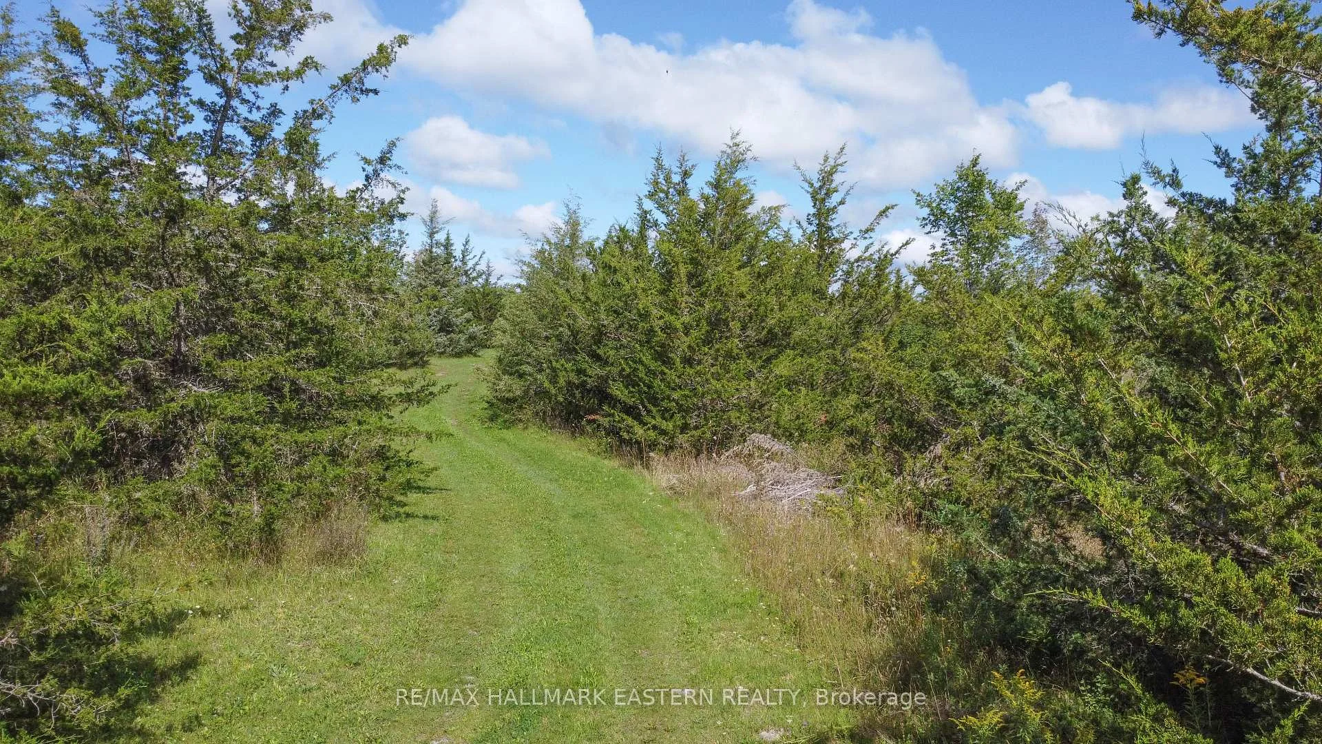 Photo 17 of 2098 13th Line E, Trent Hills, Rural Trent Hills — HOMEH