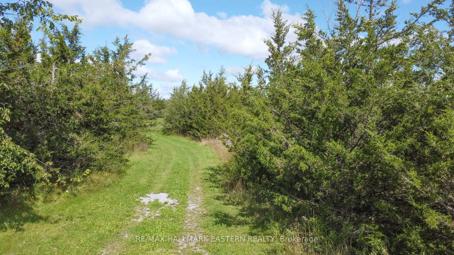 Photo 19 of 2098 13th Line E, Trent Hills, Rural Trent Hills — HOMEH