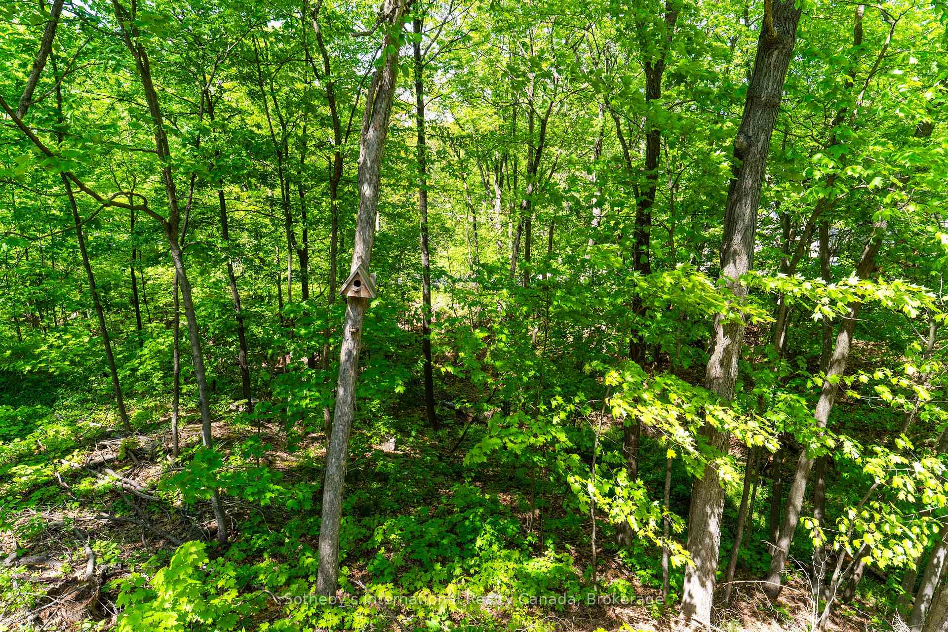 Photo 24 of 180 Clairmont Road, Gravenhurst, Muskoka (S) — HOMEH