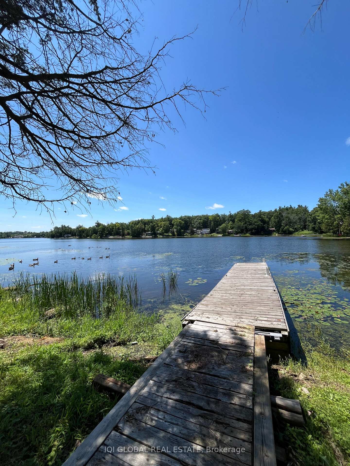 Photo 5 of 24 Pines Lane, Quinte West, Sidney Ward — HOMEH