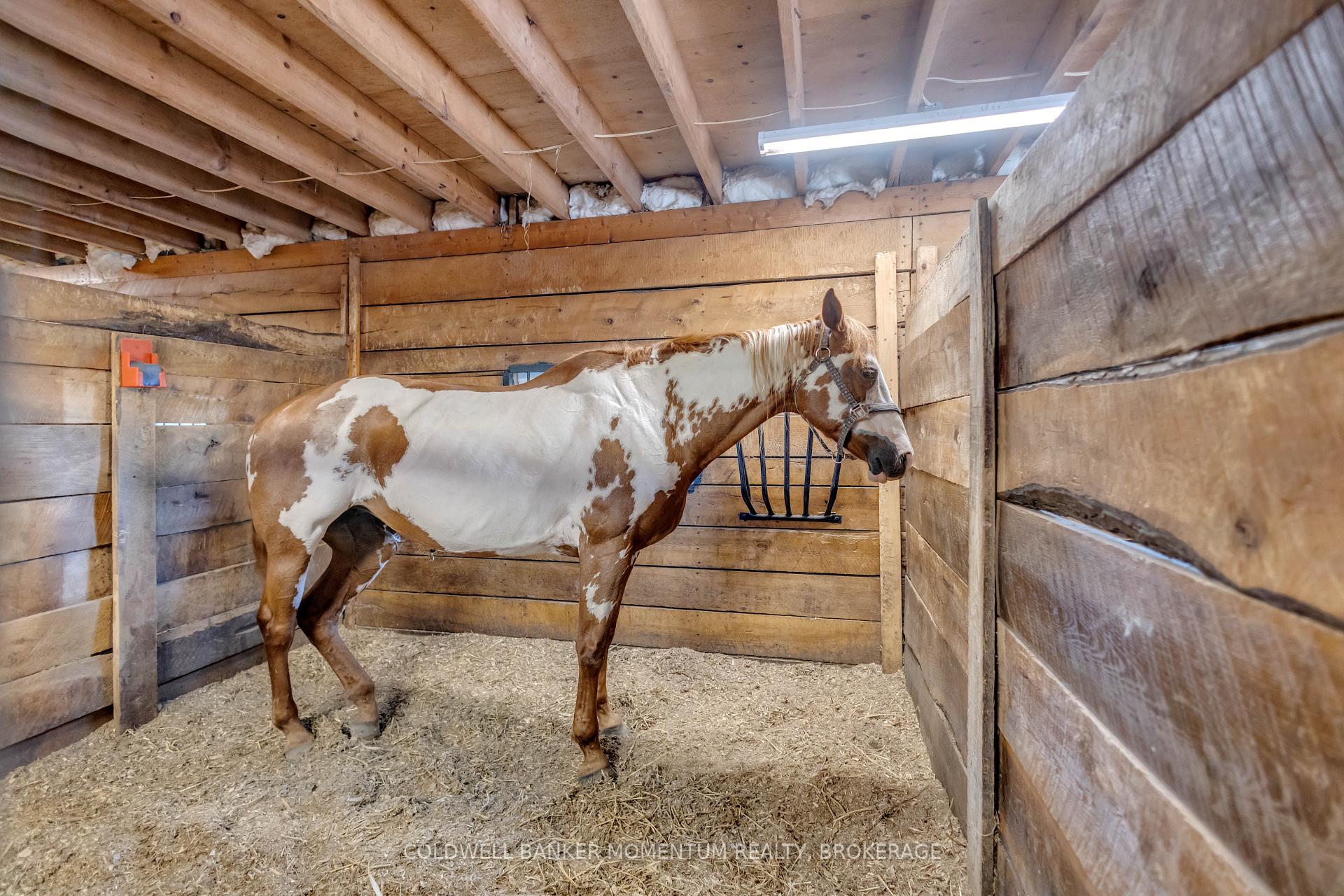Photo 7 of 1684 4th Concession Road, Norfolk, Rural S. Walsingham — HOMEH
