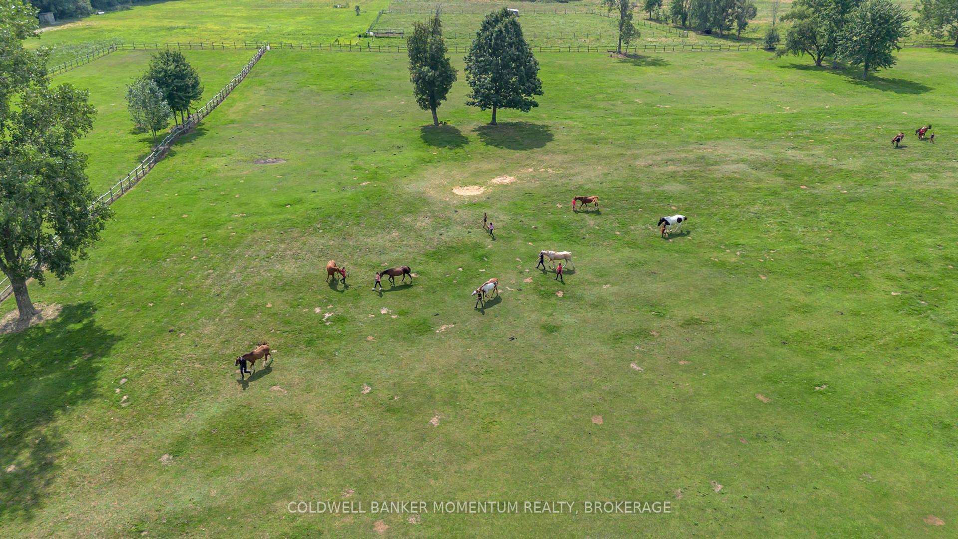 Photo 46 of 1684 4th Concession Road, Norfolk, Rural S. Walsingham — HOMEH