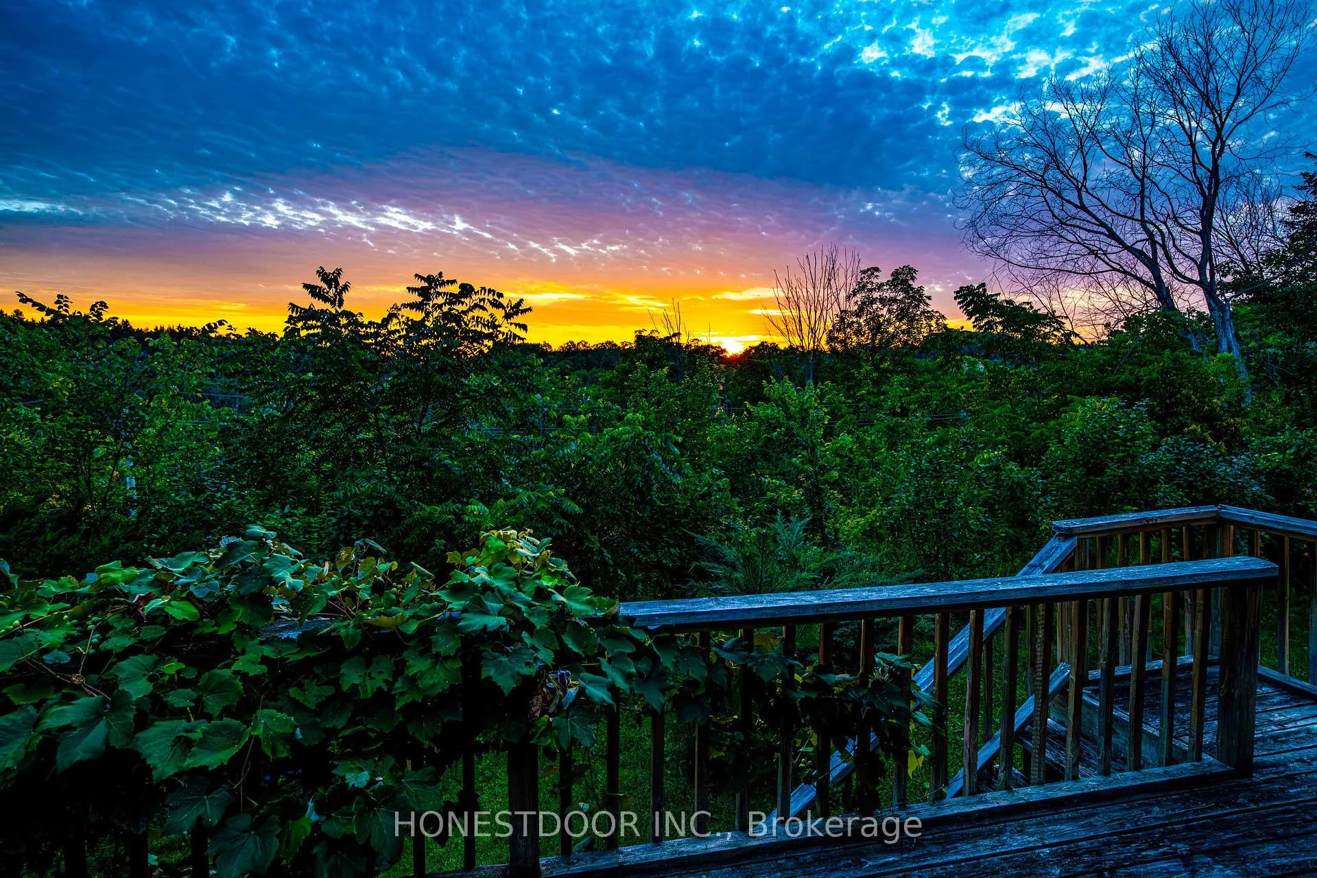 Photo 51 of 40 Old Church Road, King, Rural King — HOMEH