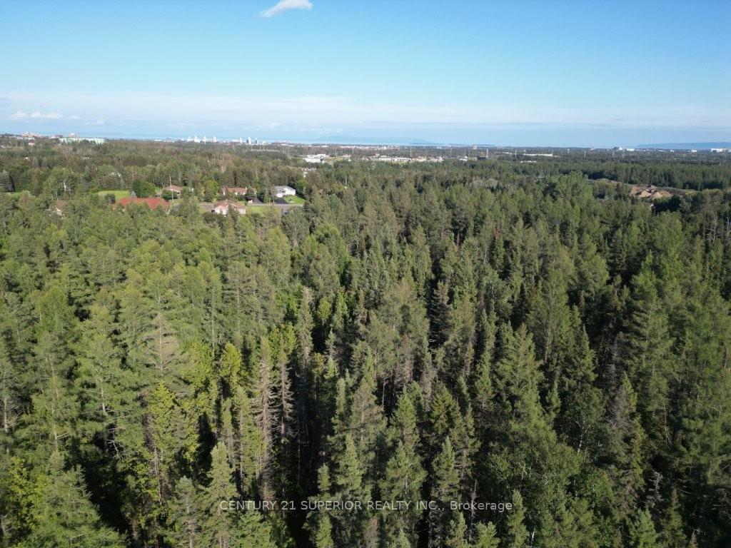 Photo 4 of 272 Cambridge Street, Thunder Bay, McIntyre South — HOMEH