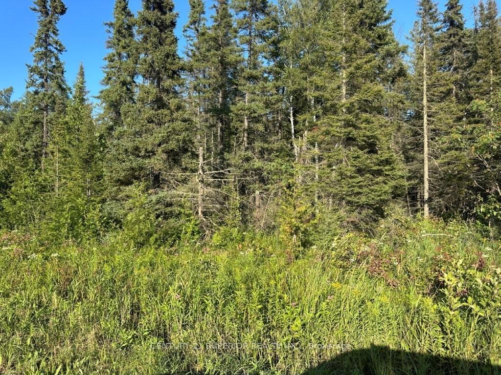 Photo 9 of 272 Cambridge Street, Thunder Bay, McIntyre South — HOMEH
