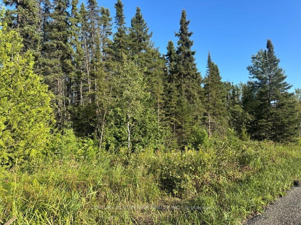 Photo 10 of 272 Cambridge Street, Thunder Bay, McIntyre South — HOMEH