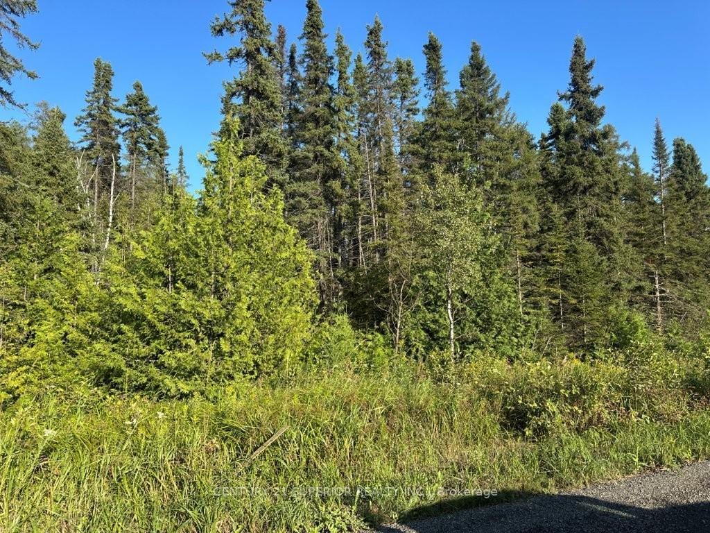 Photo 11 of 272 Cambridge Street, Thunder Bay, McIntyre South — HOMEH