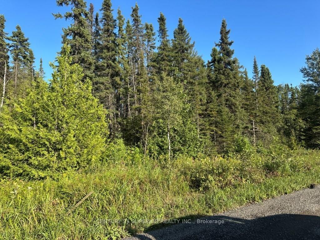 Photo 12 of 272 Cambridge Street, Thunder Bay, McIntyre South — HOMEH