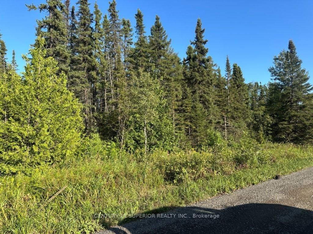 Photo 13 of 272 Cambridge Street, Thunder Bay, McIntyre South — HOMEH