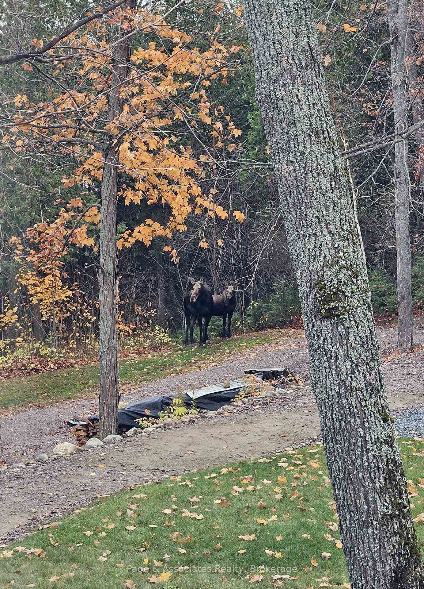 Photo 35 of 208 Moose Point Road, West Nipissing, Crystal Falls — HOMEH